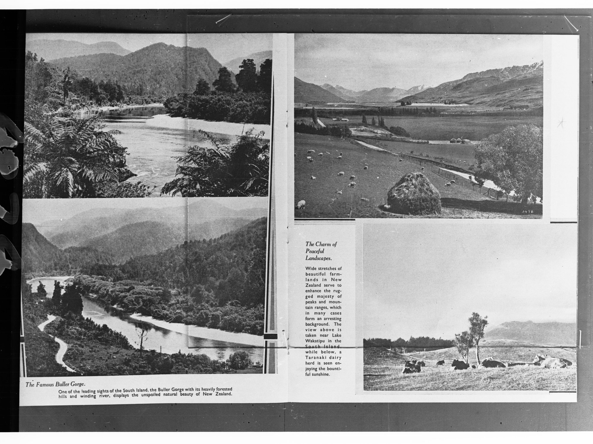 Famous Buller Gorge and Landscapes in New Zealand