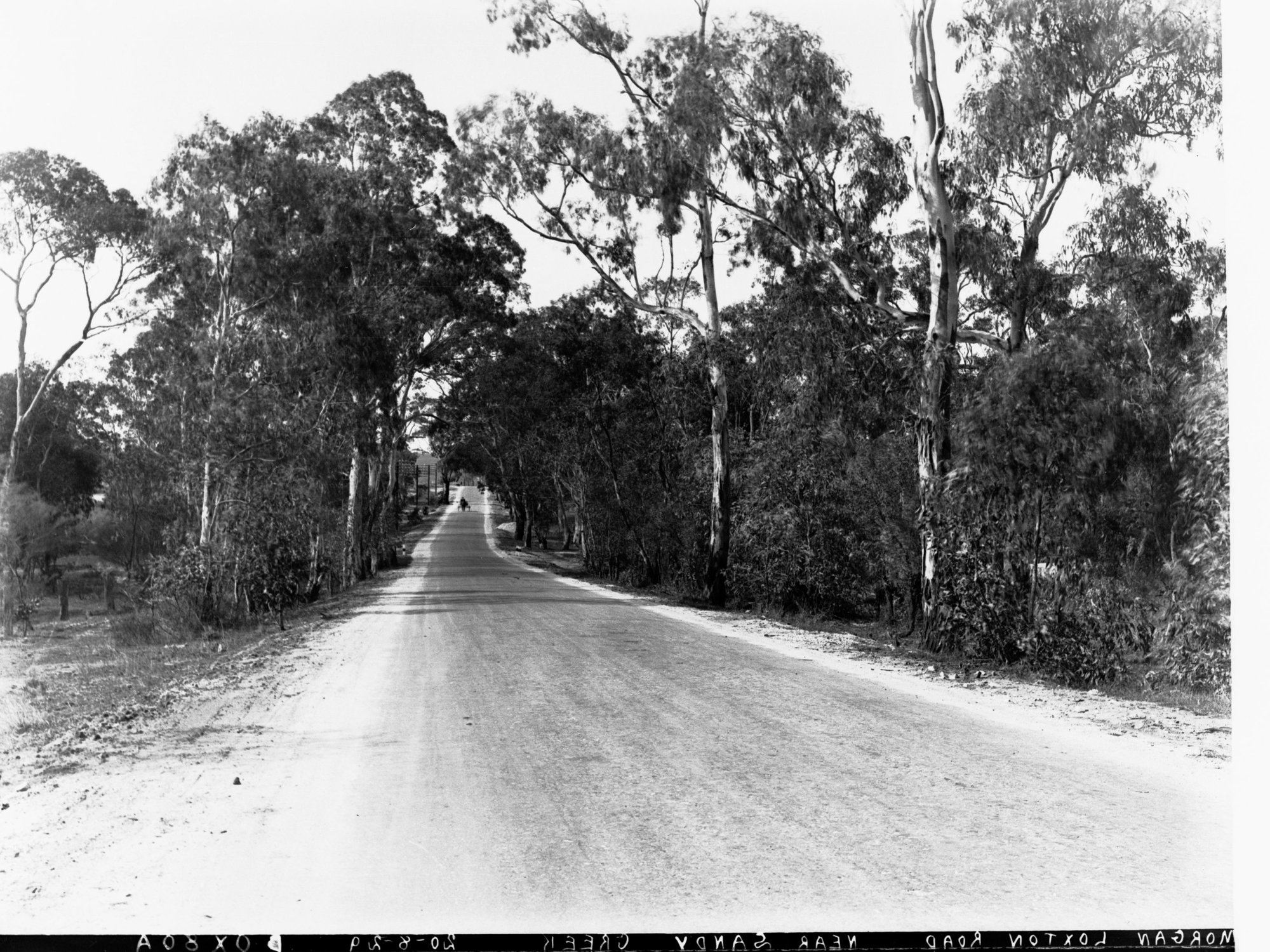 Morgan Loxton Road Near Sandy Creek
