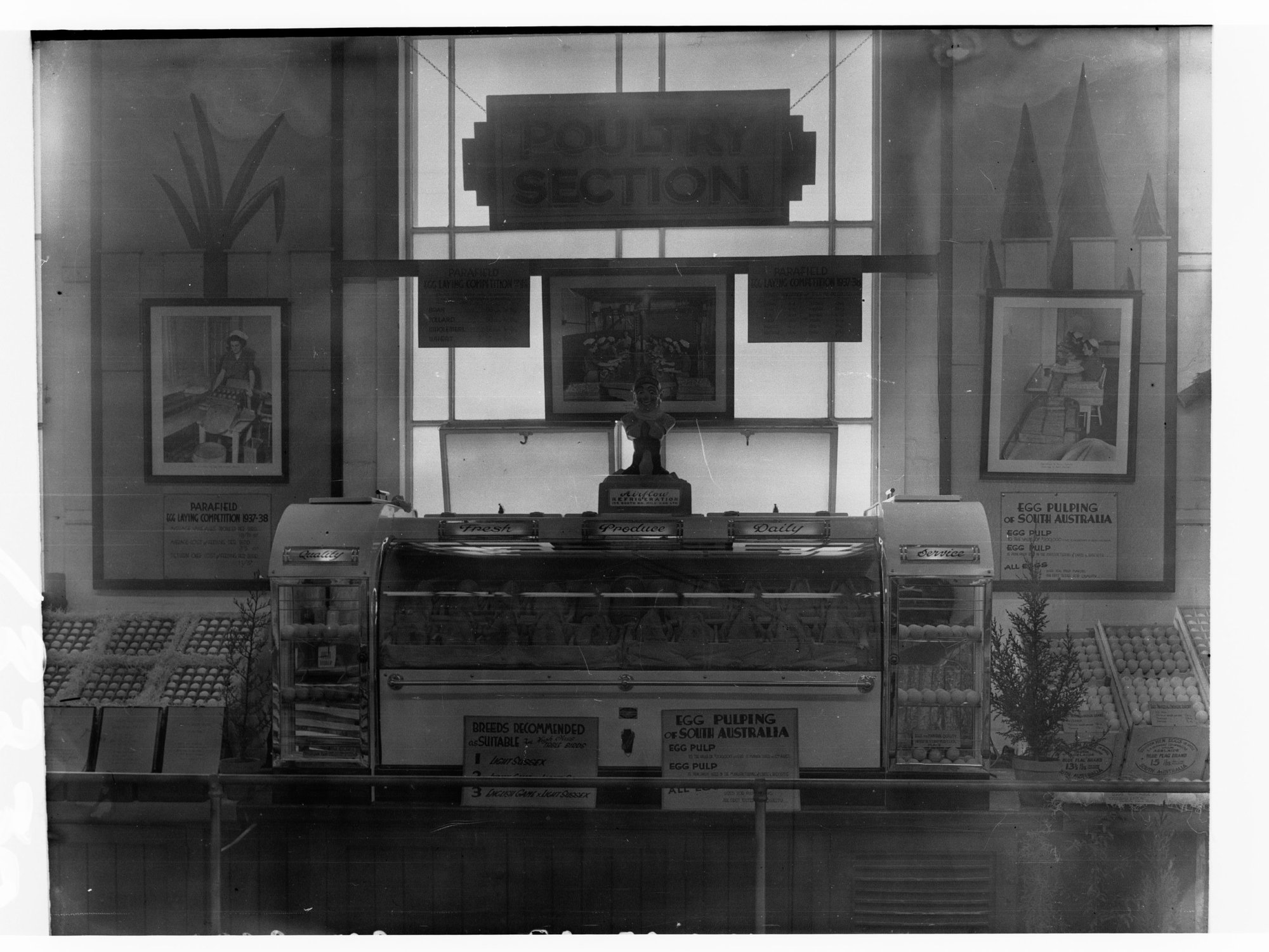 Poultry exhibition at Royal Adelaide Show