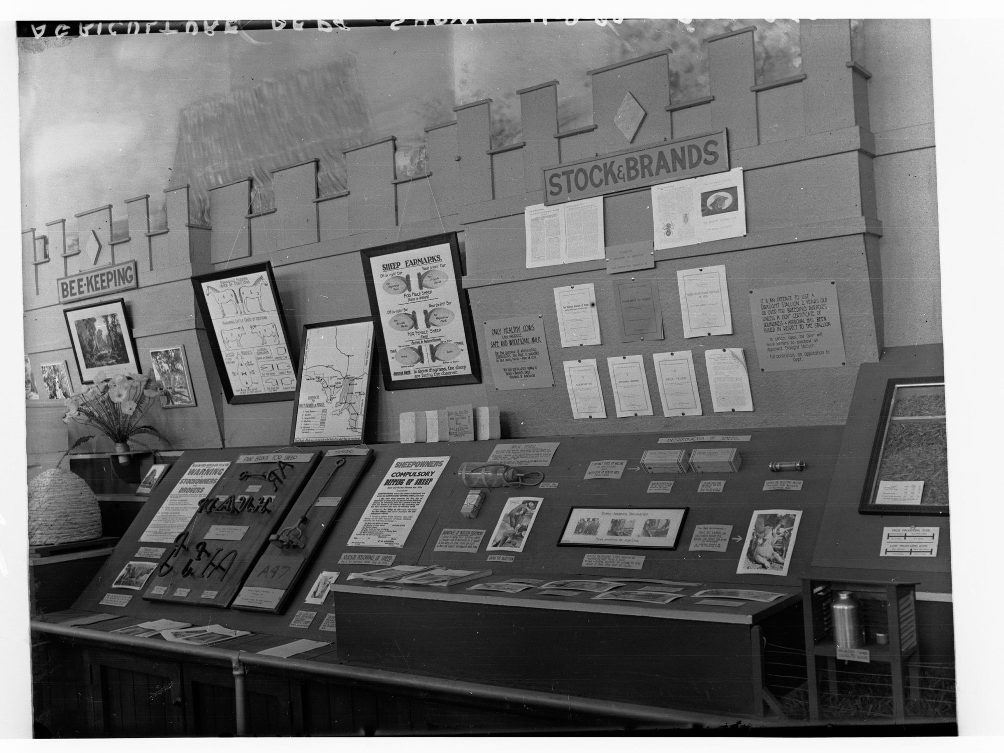 Stock and Brands Display, Agriculture Show, Royal Adelaide Show, Wayville