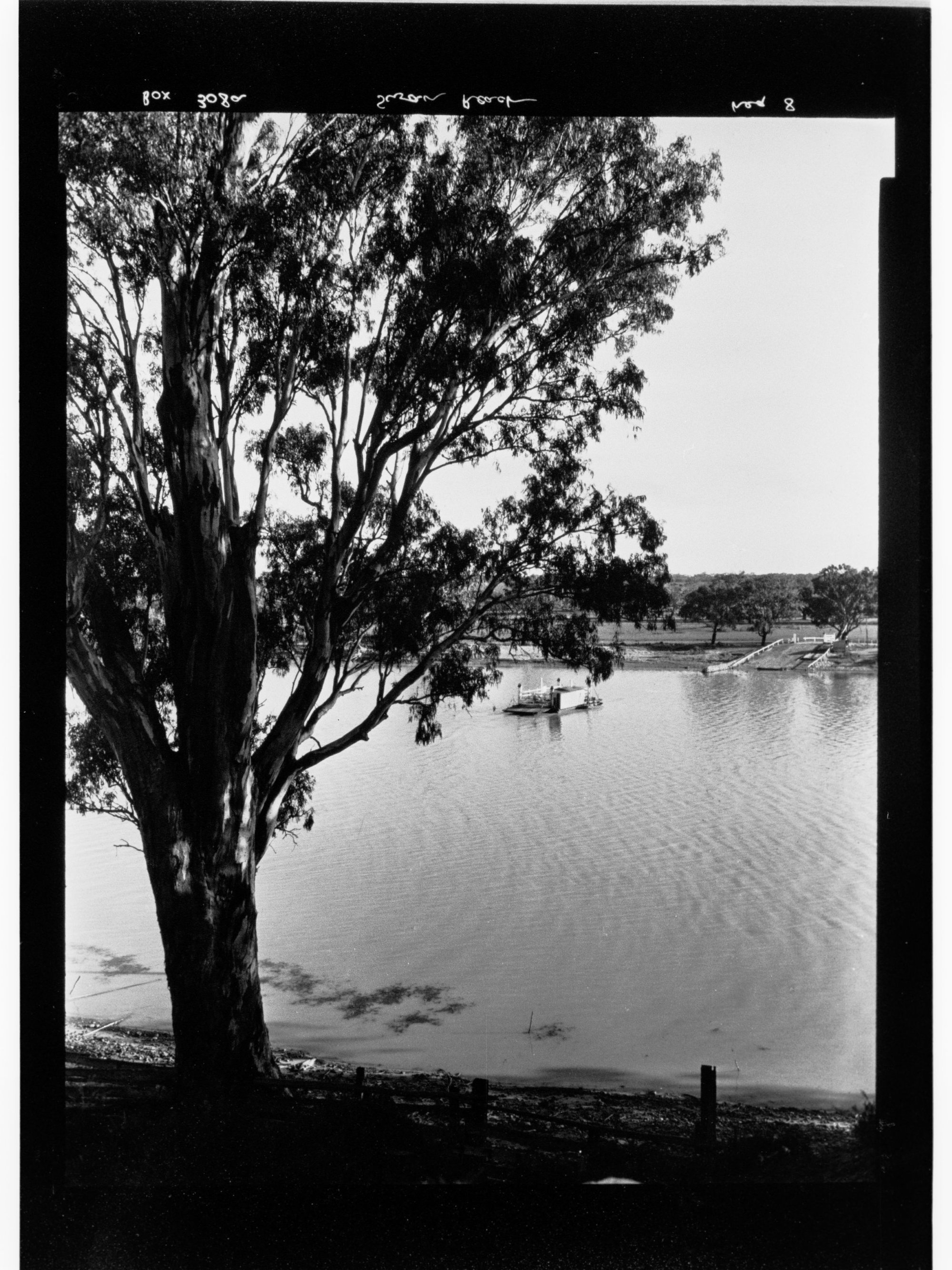 Swan Reach - ferry on river