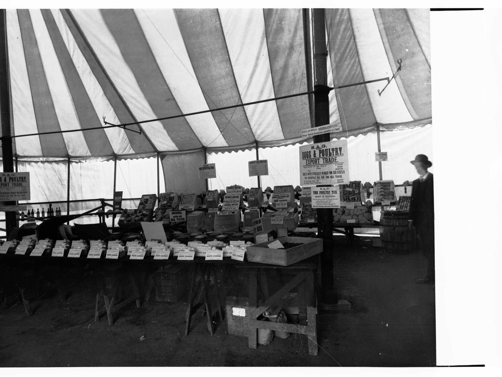 Government Produce Exhibit