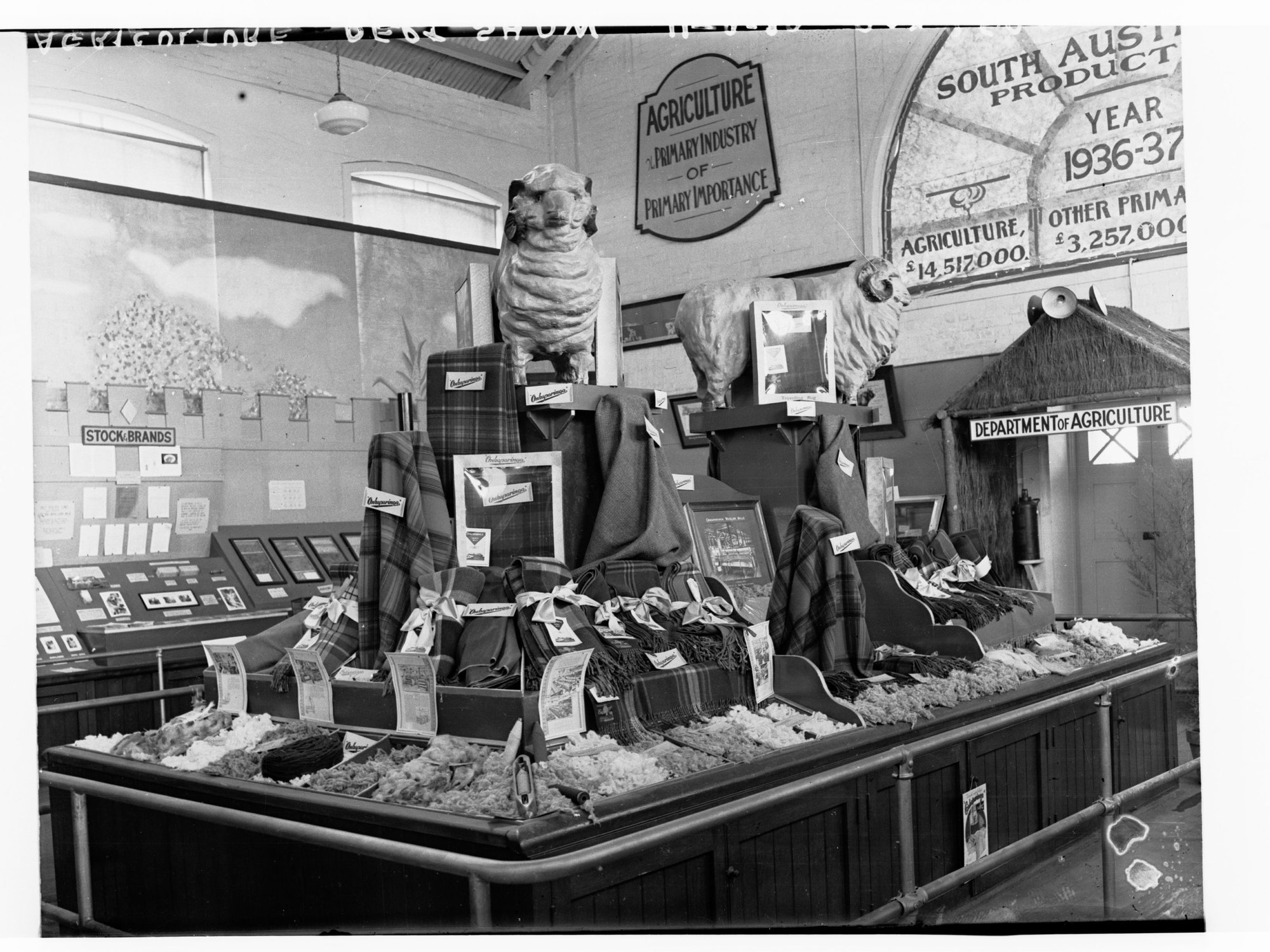 Wool display, Agricultural Show, Royal Adelaide Show, Wayville