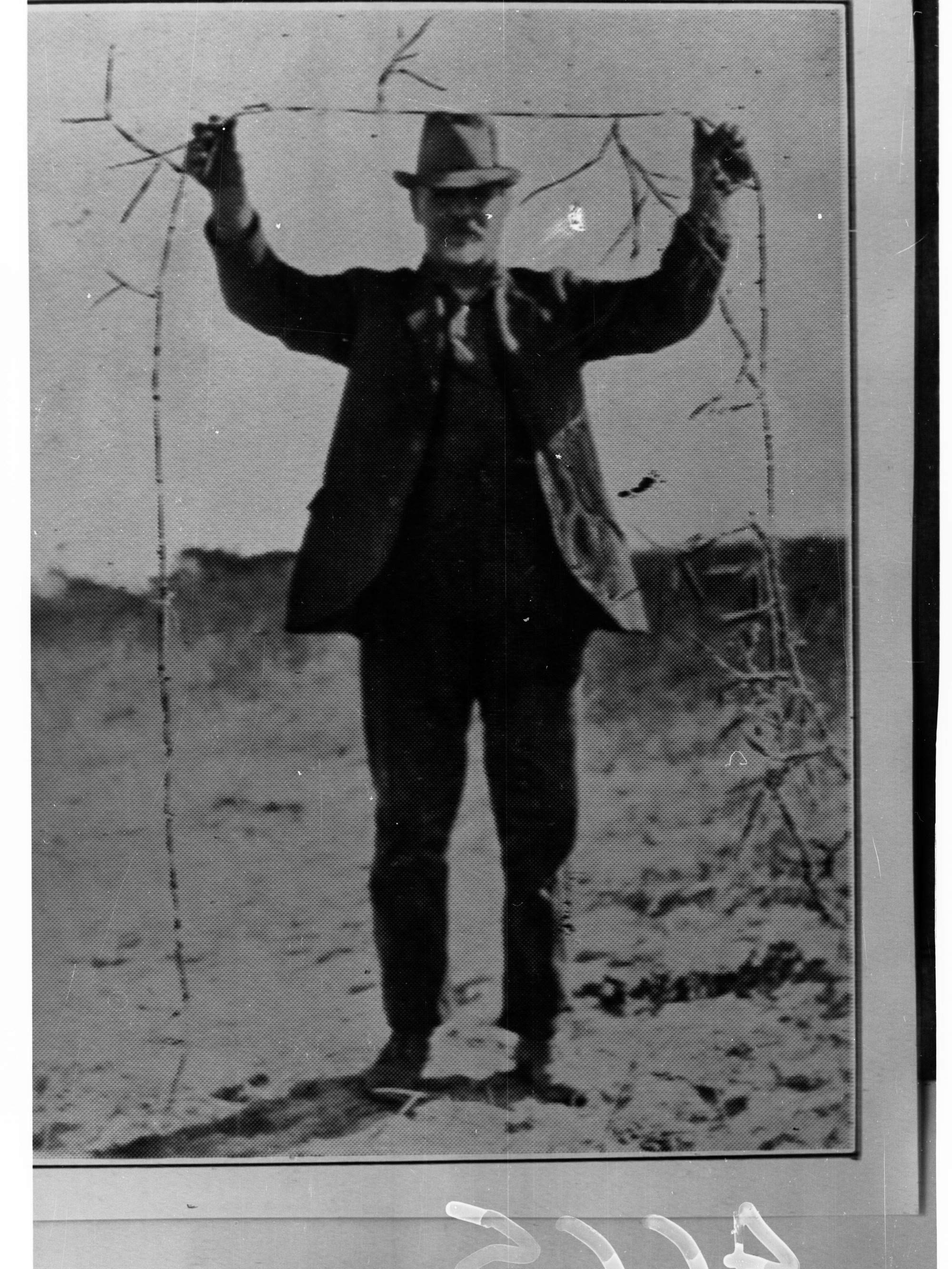 Man Holding Up Tree Roots