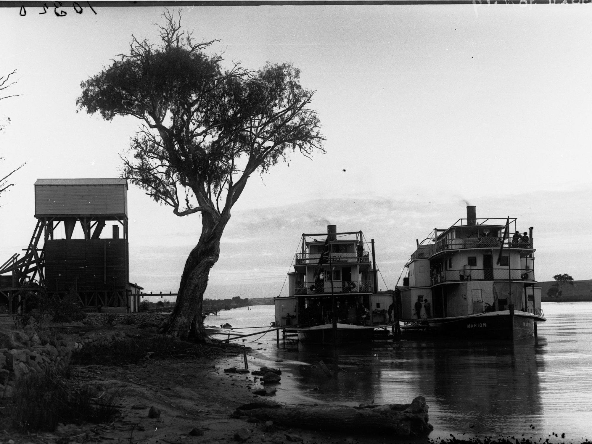 Paddlesteamers on River Murray