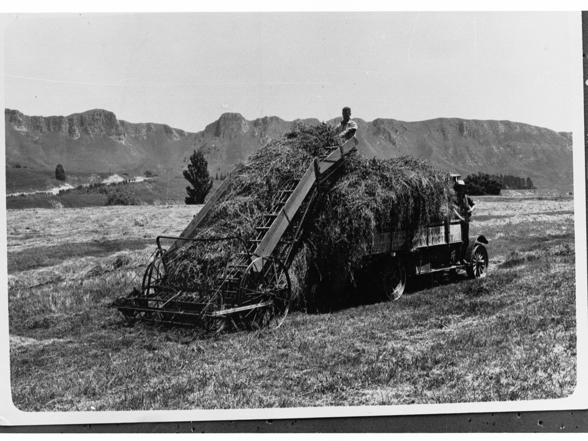 Cut Grass Being Loaded Onto Truck