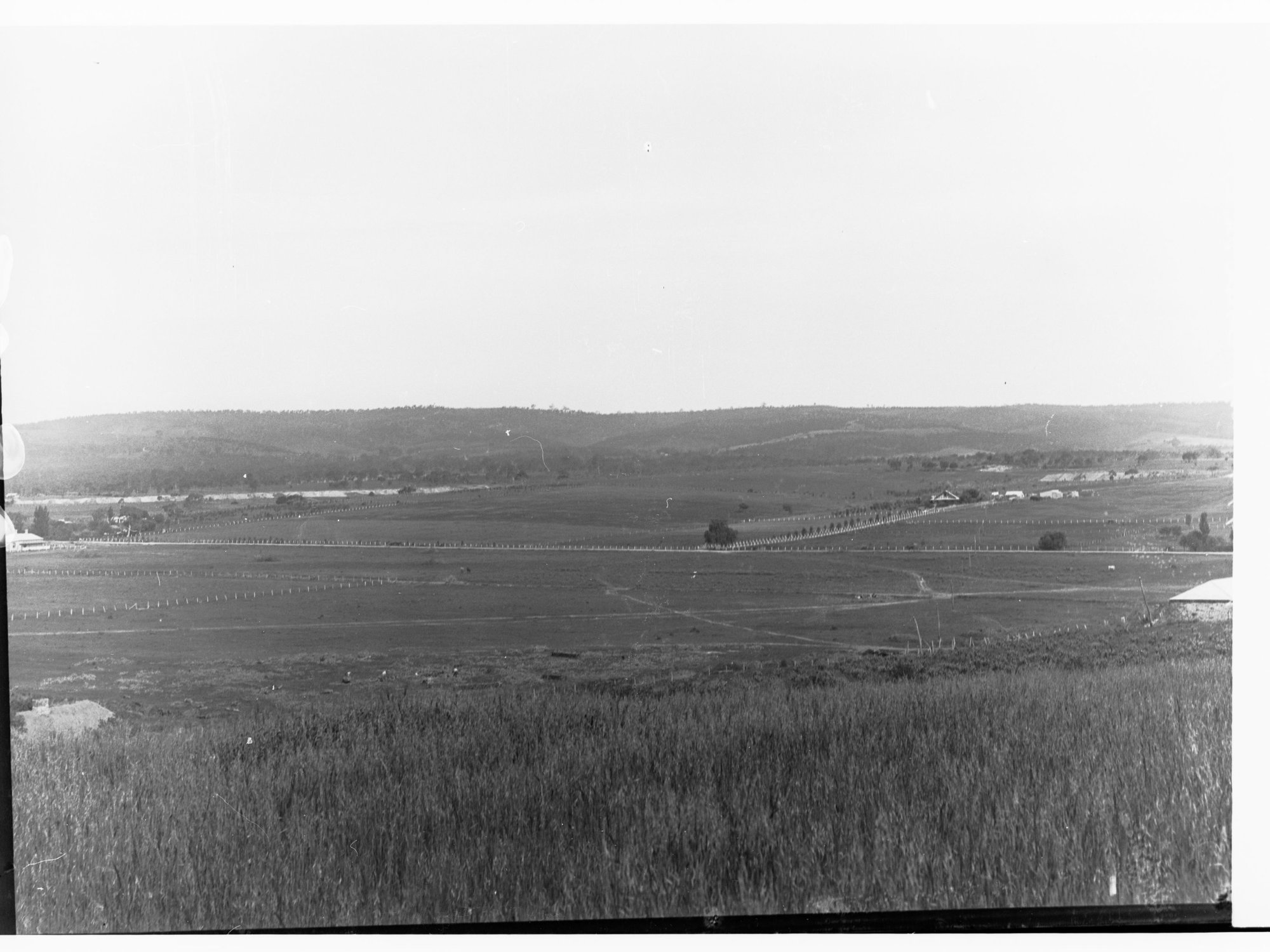 Rural view of Happy Valley - trees and farmhouse in distance