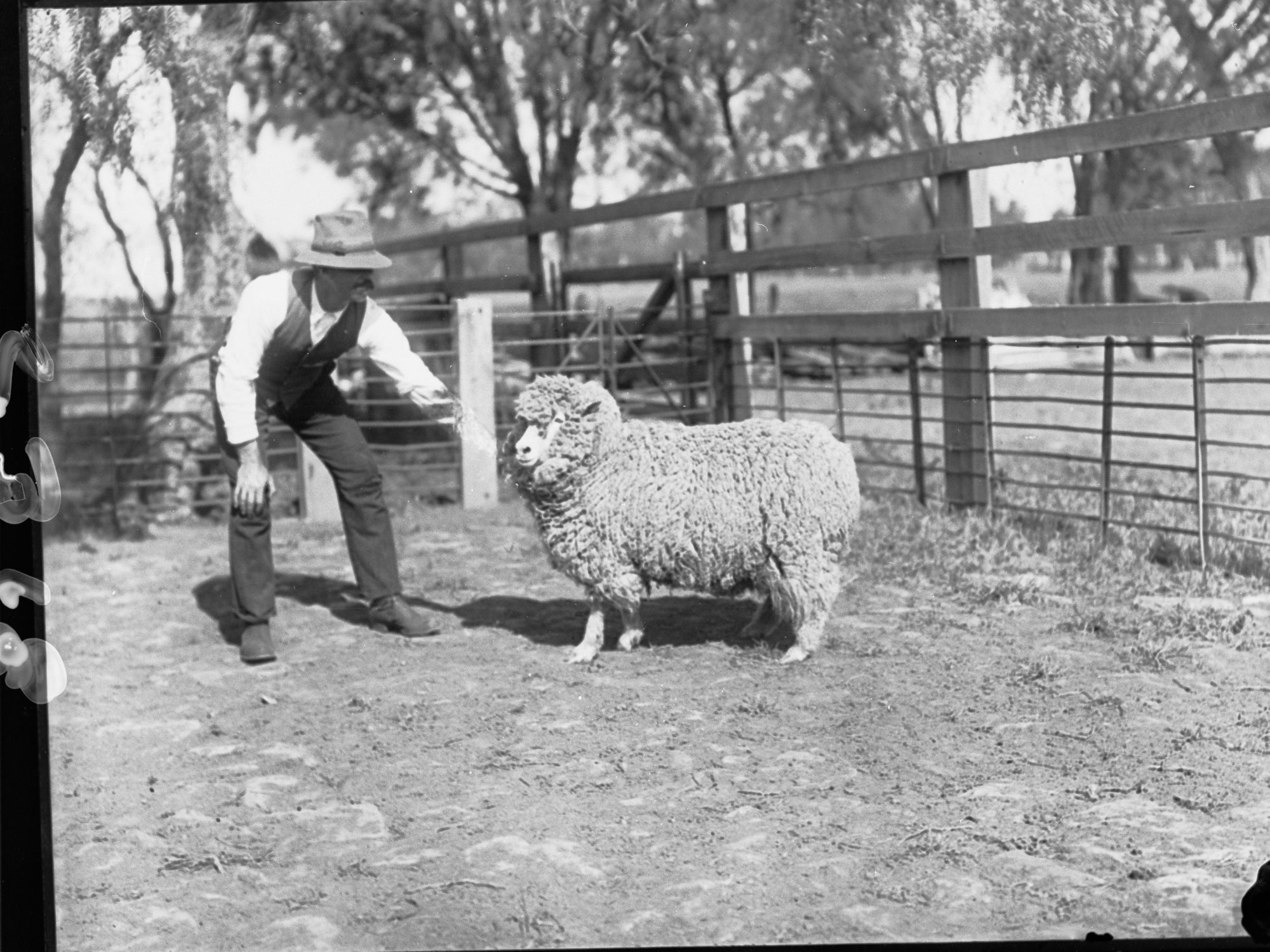 Man with a sheep taken at level crossing