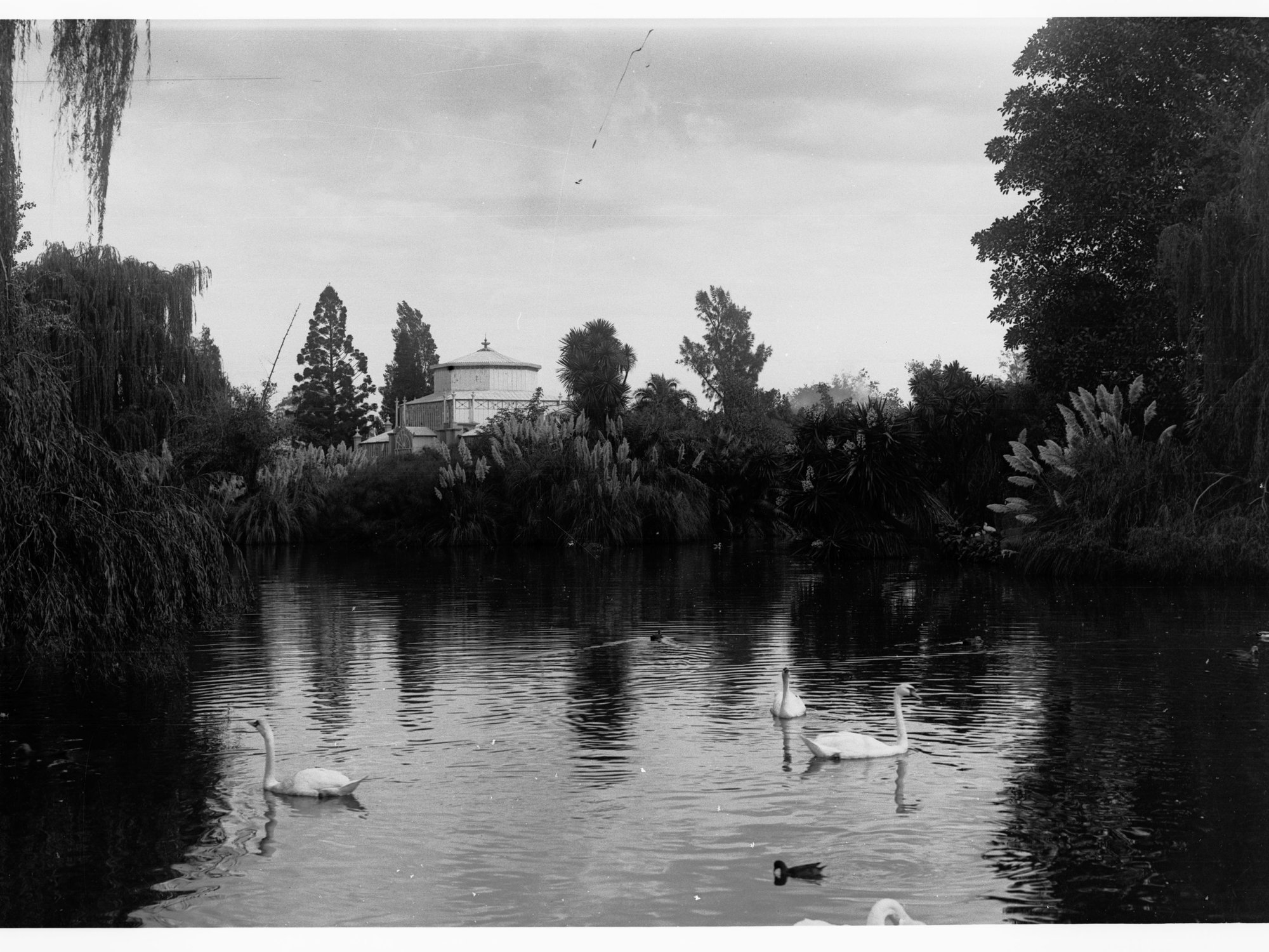 Lake Scene at Botanic Gardens Showing Conservatory