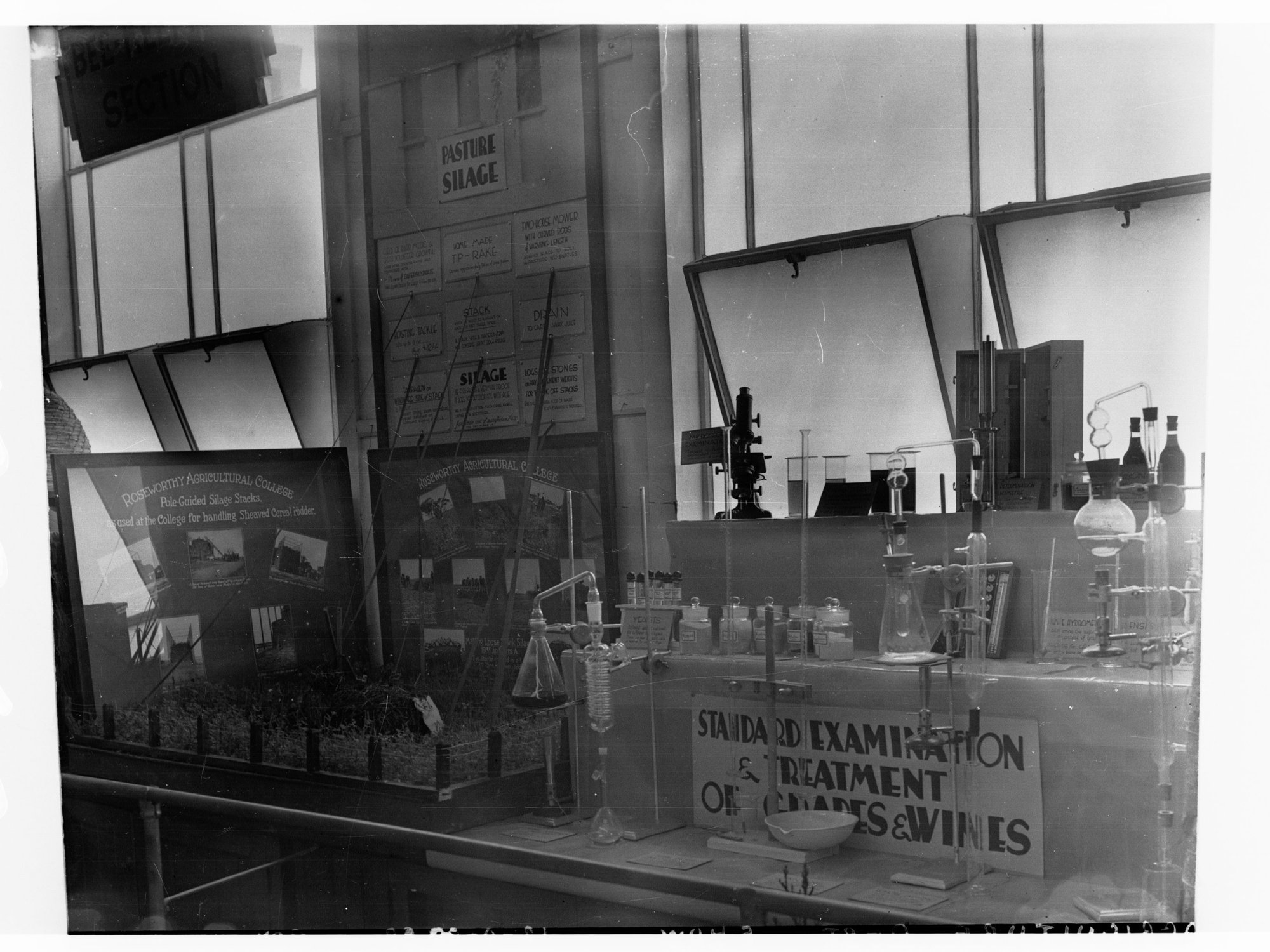 Agricultural Display showing grapes and wines, Royal Adelaide Show
