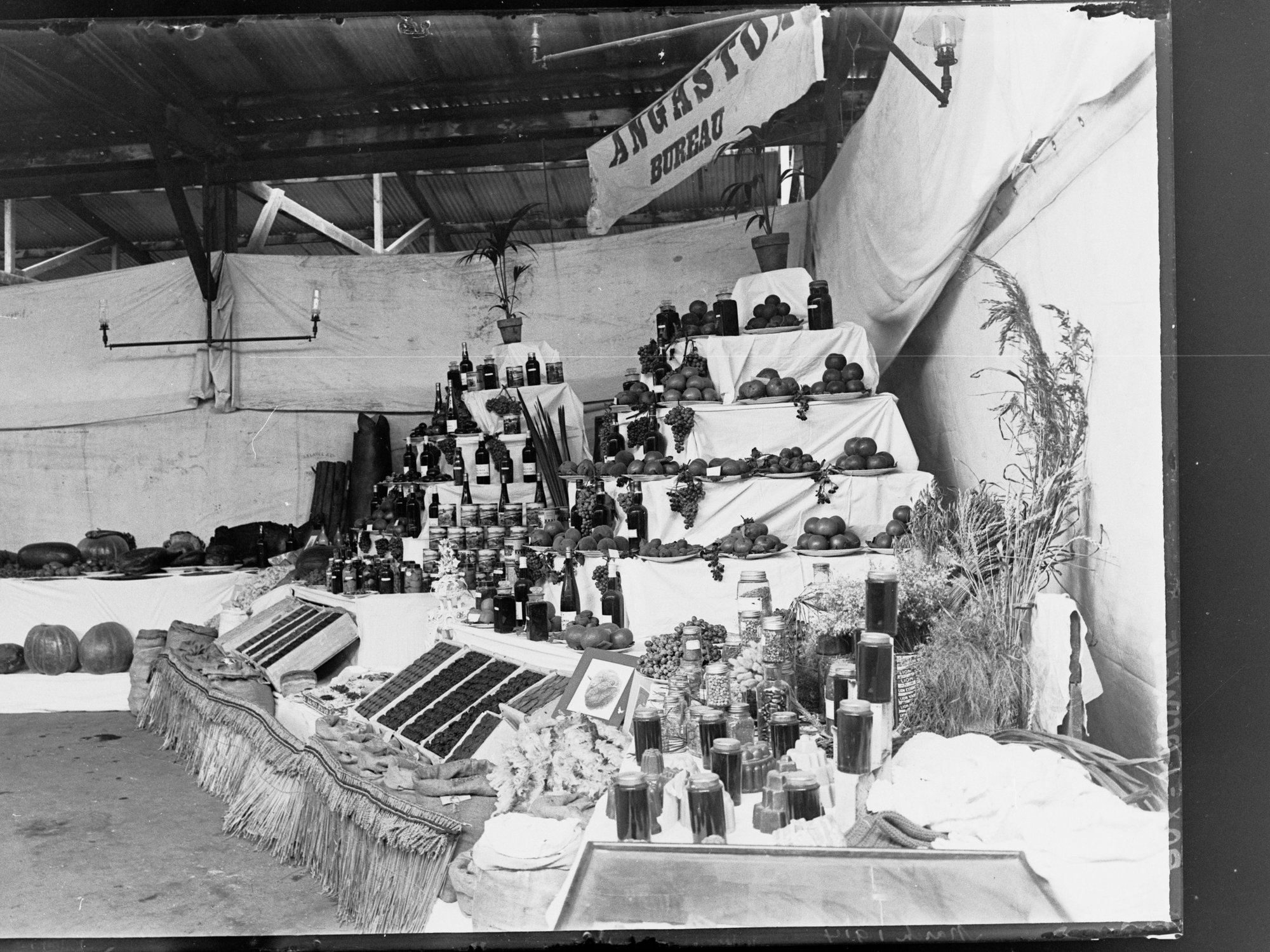 Angaston Agricultural Bureau display