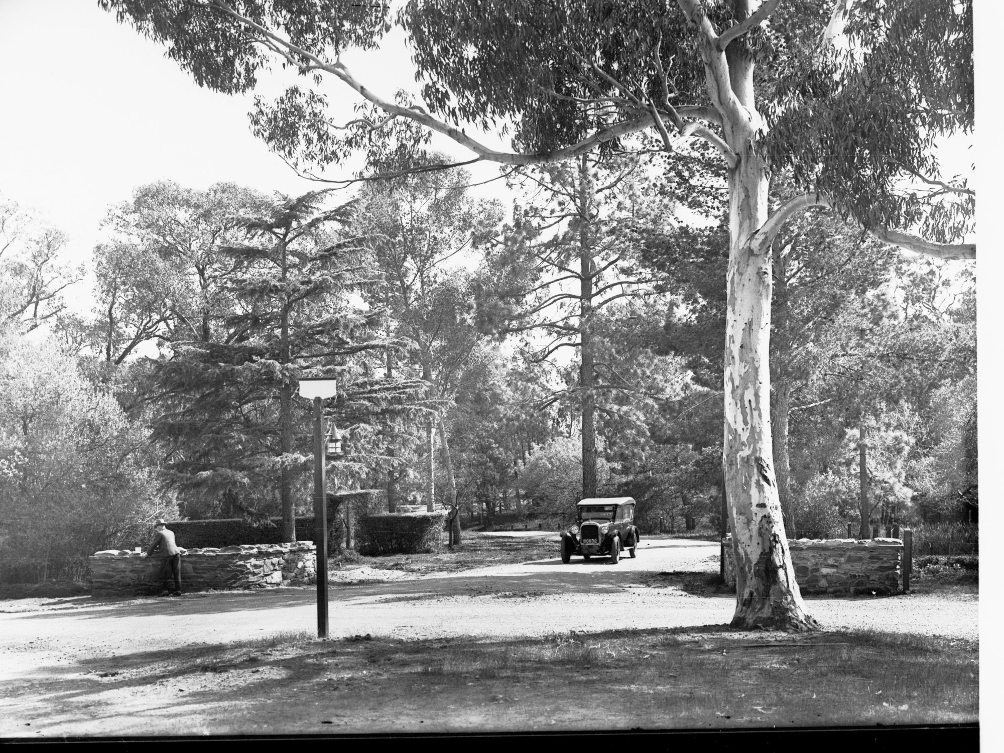 Automobile at Springfield