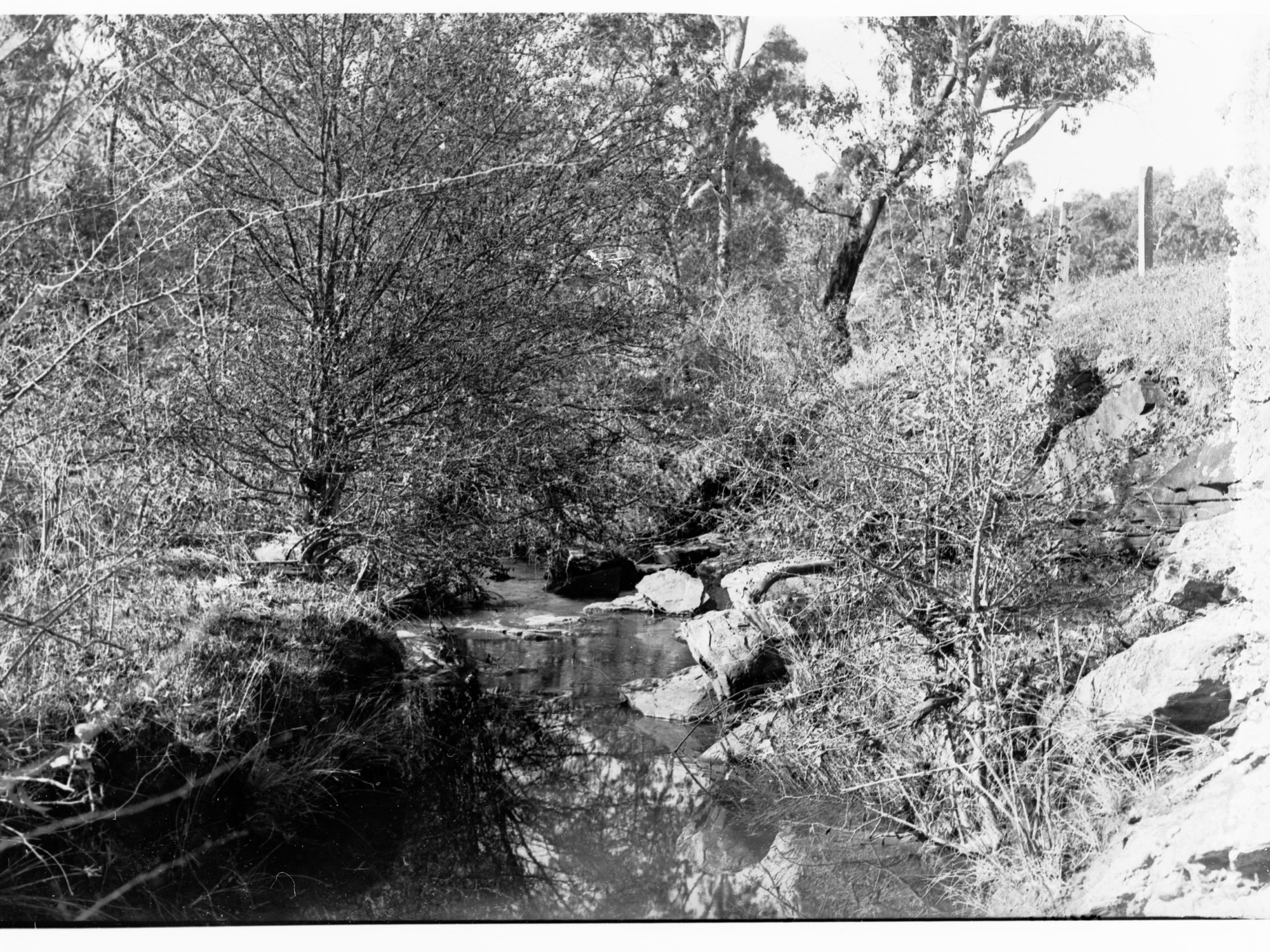 Rural view of Blackwood