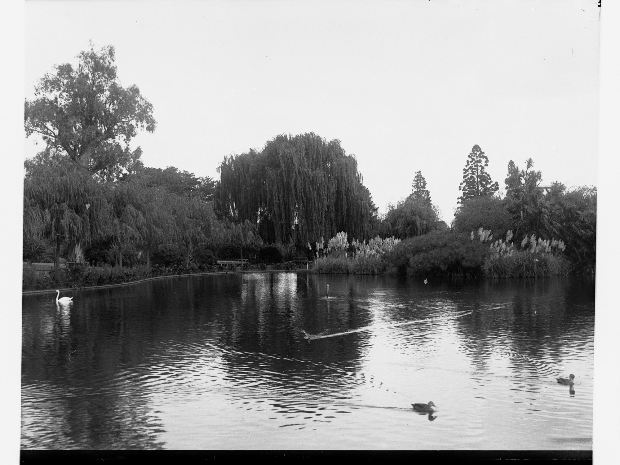 The Botanic Gardens, Adelaide