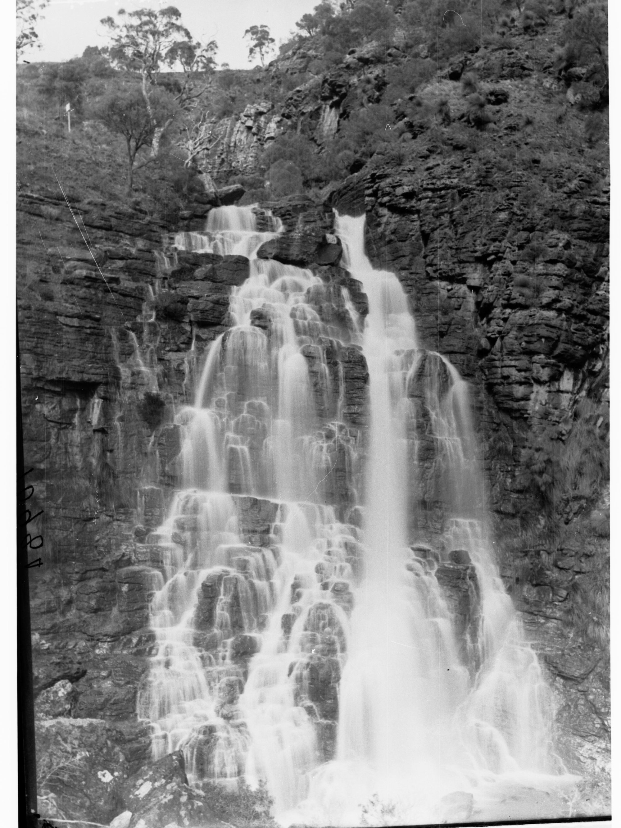 Morialta Falls, Morialta Reserve