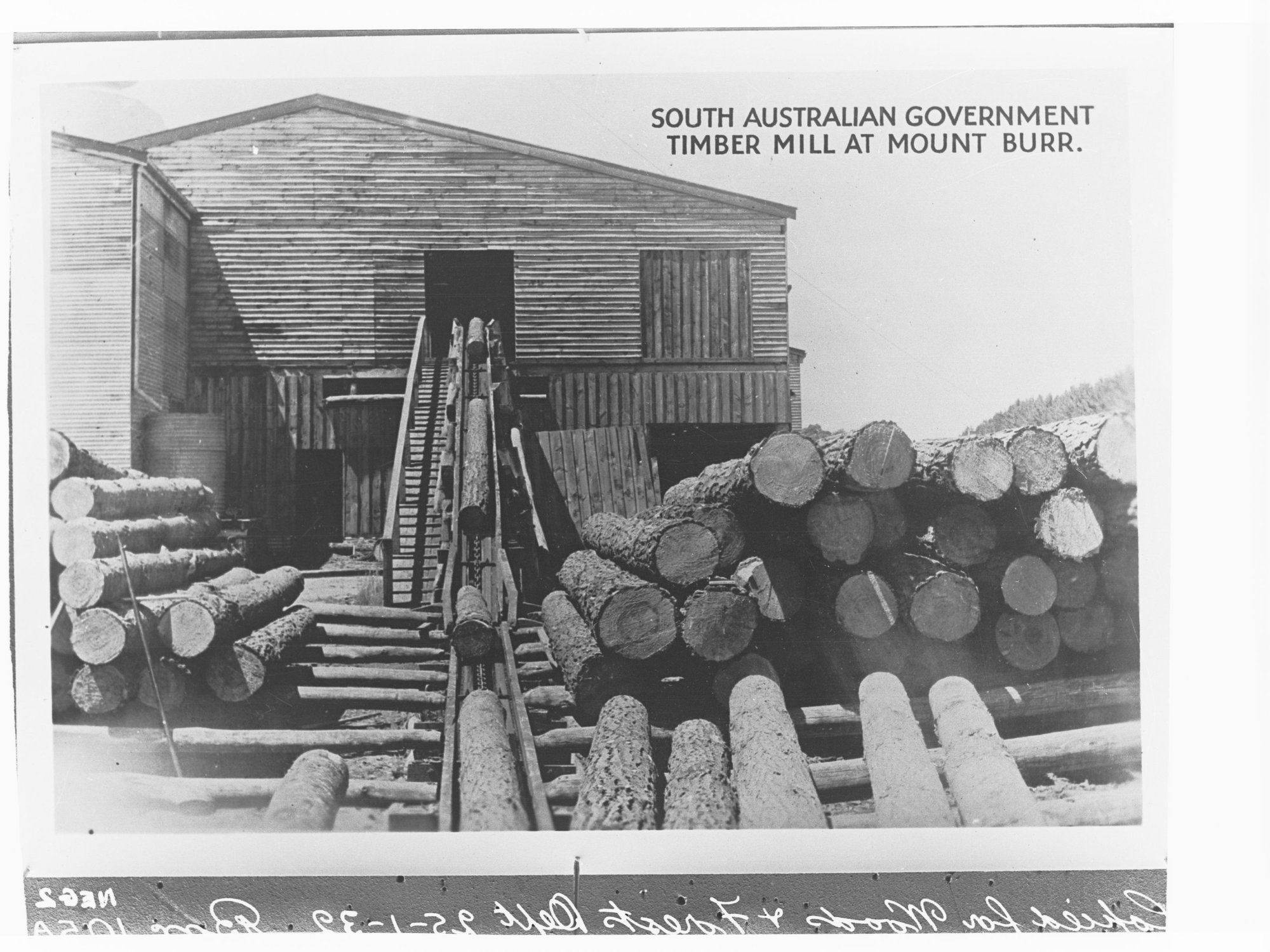 South Australian Government Timber Mill at Mount Burr