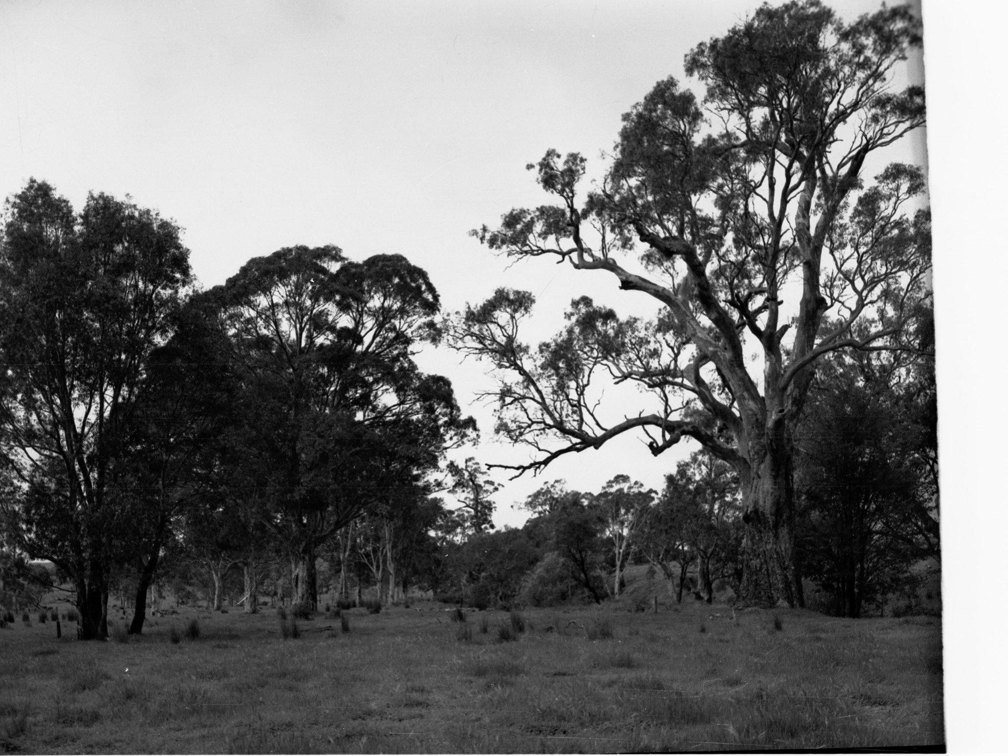 Engineering and Water Supply - Rural View