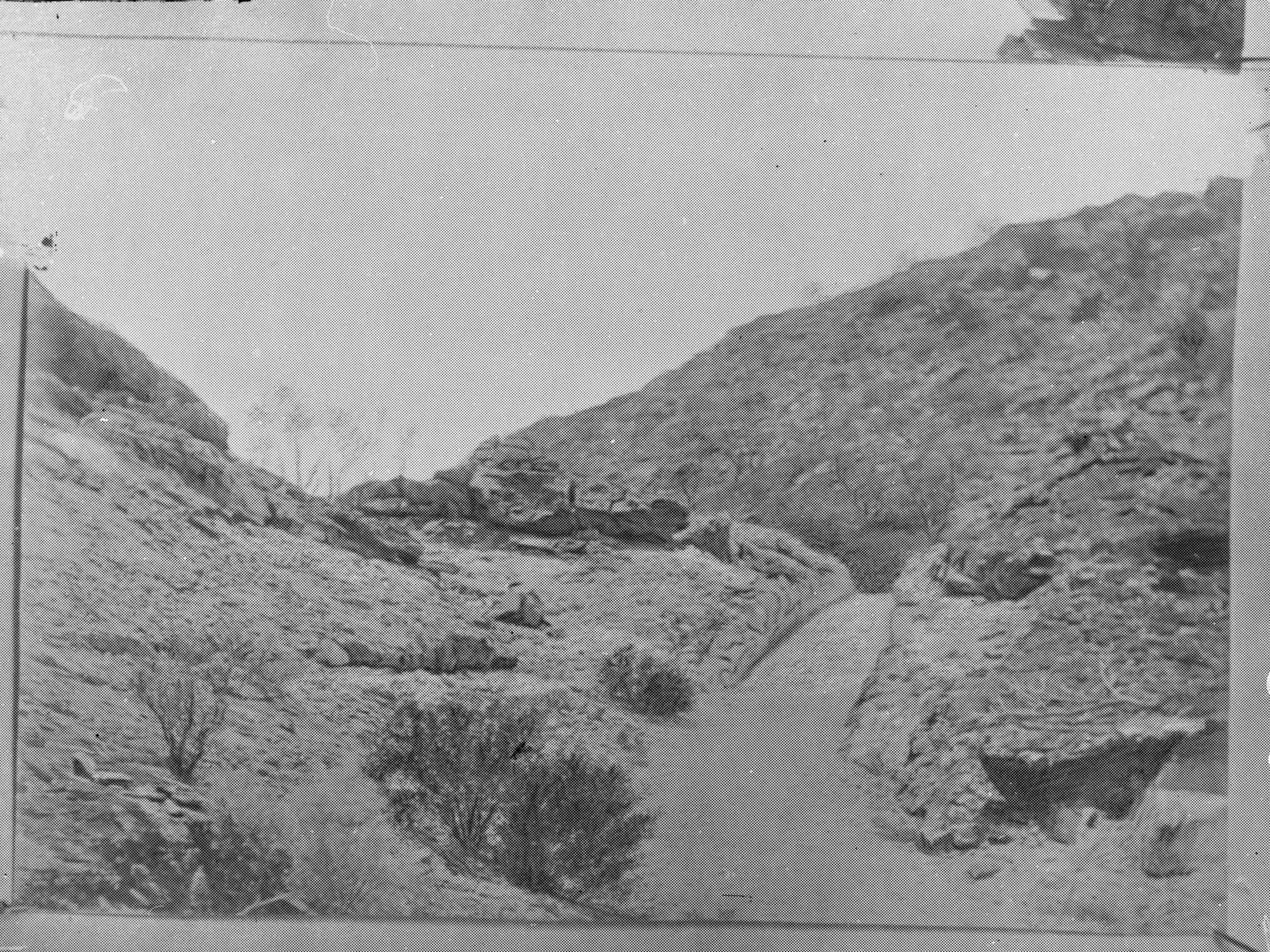 View of desert scene, area unknown