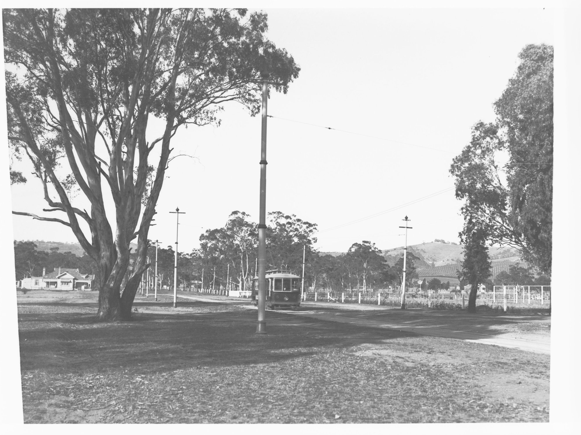 Kensington Gardens - Shows Tram