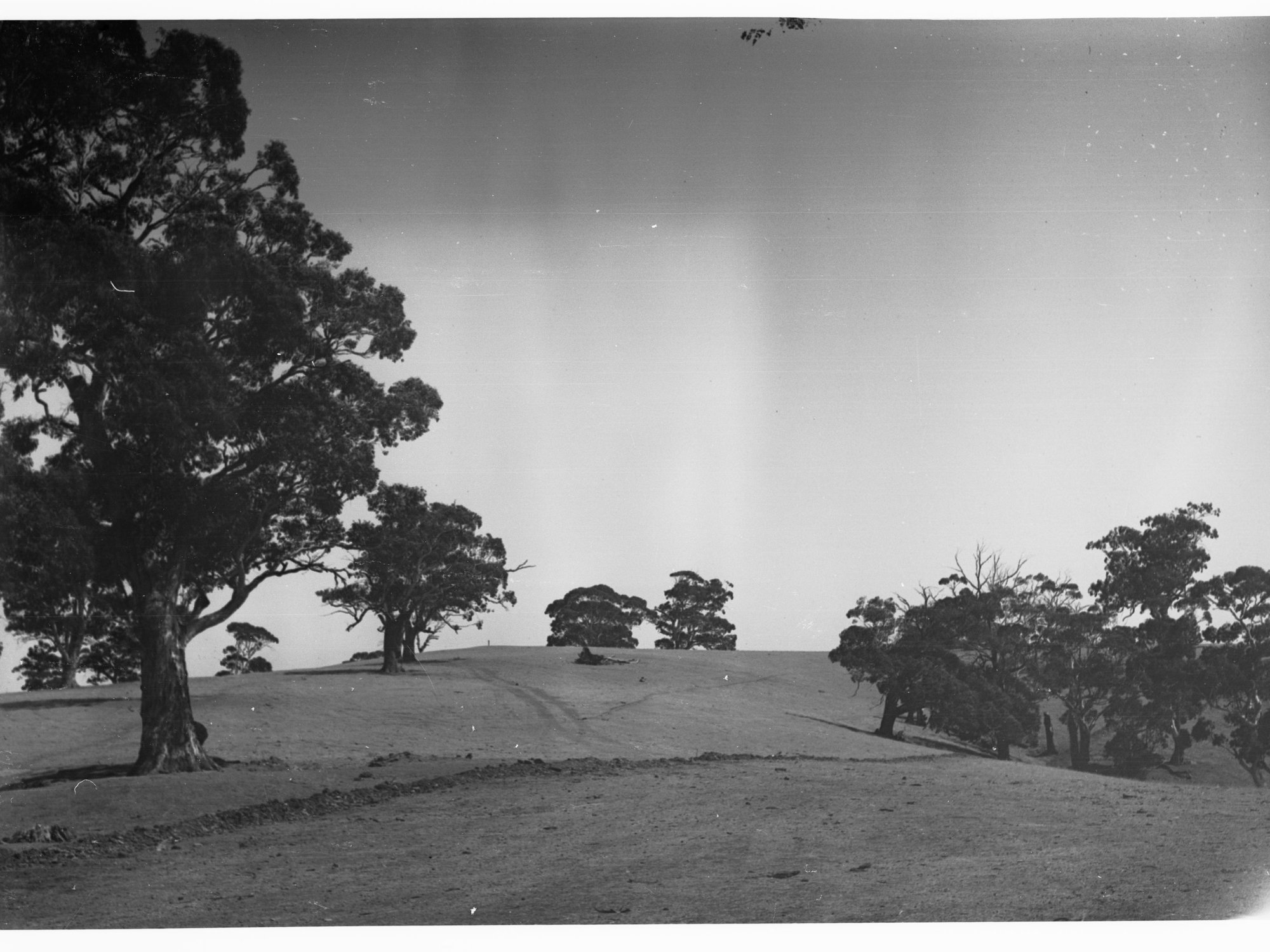 Mount Osmond golf links