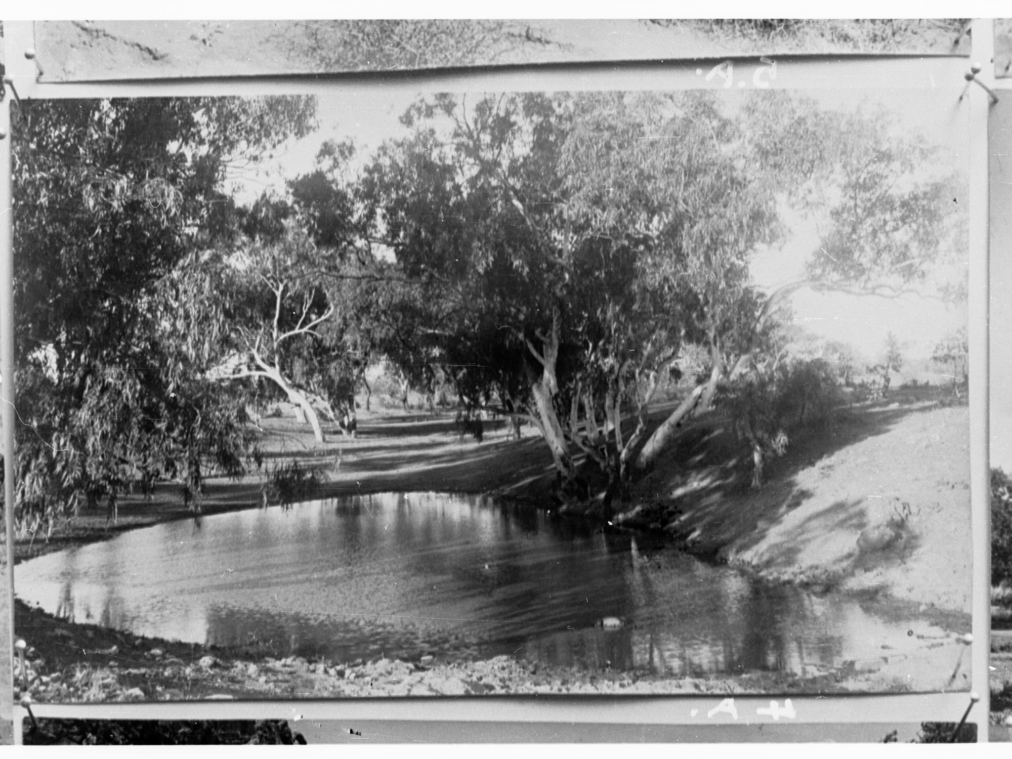 Northern Territory - scene of a river and trees