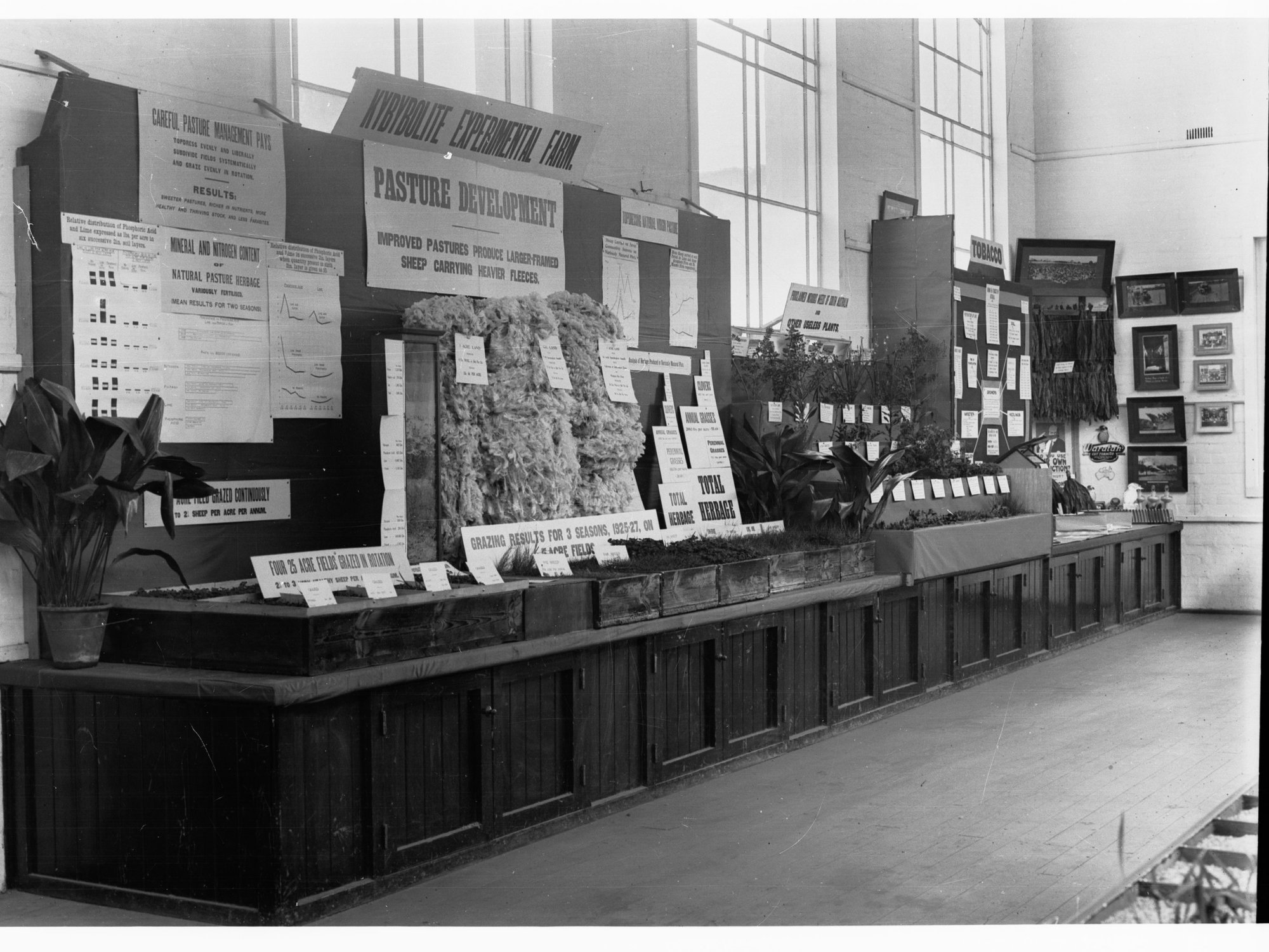 Agricultural Hall, Royal Adelaide Show, display on Kybybolite Experimental Farm