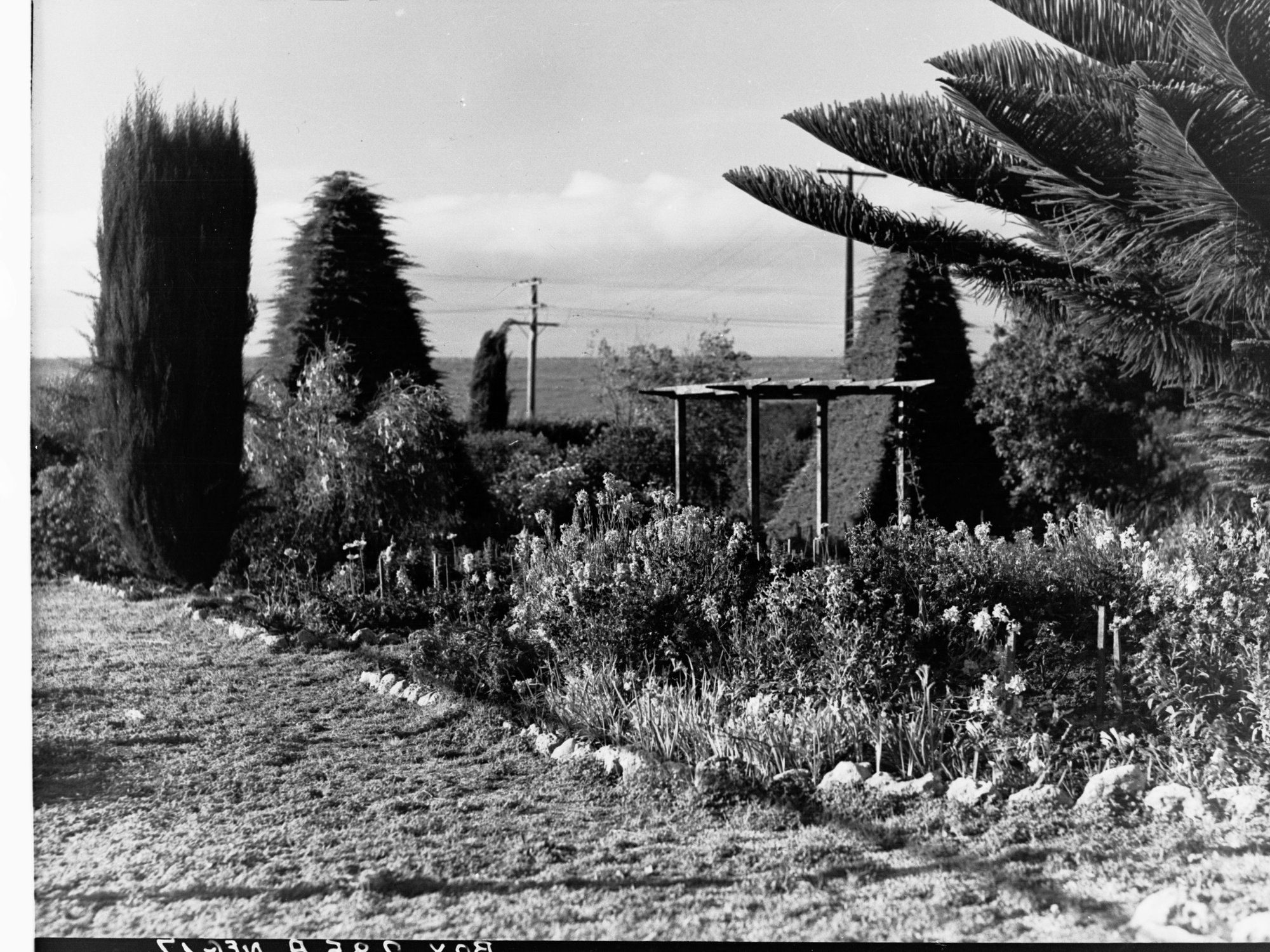 Garden at McLaren Vale