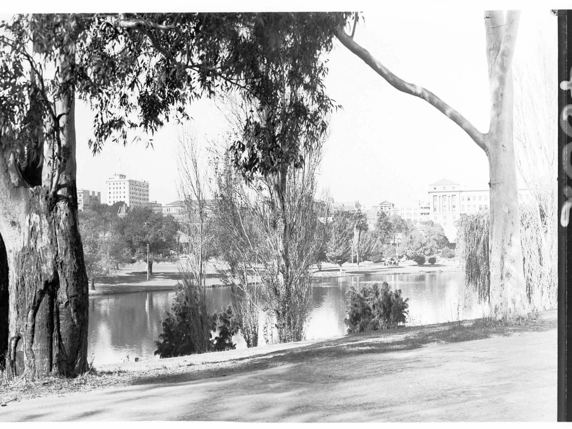 River Torrens from War Memorial Drive - near King William Street bridge