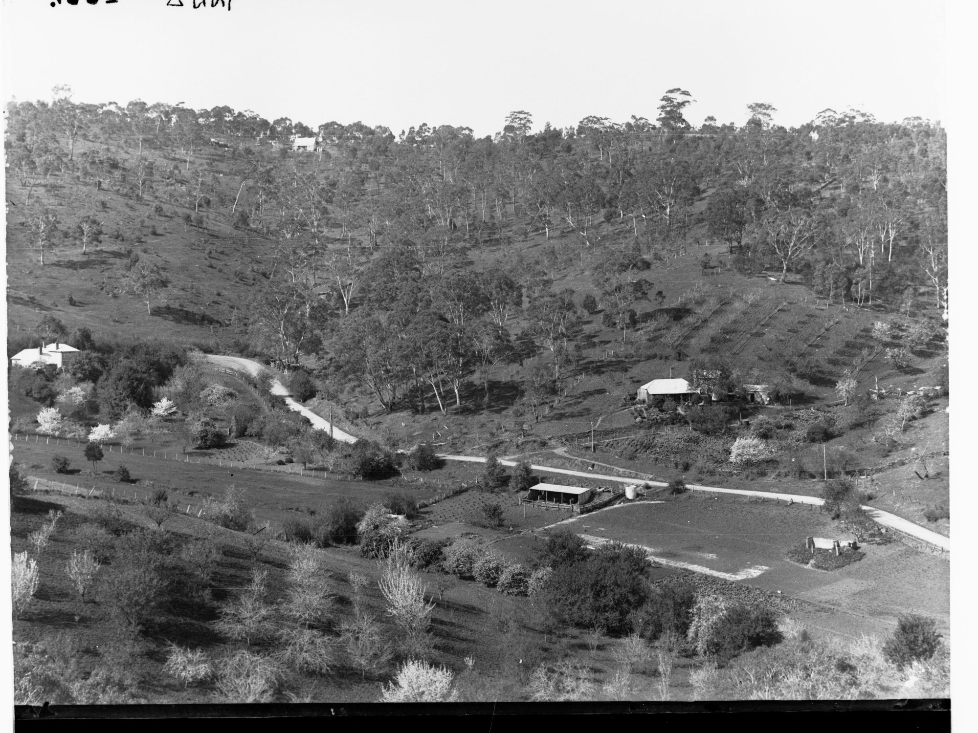 View of farms and orchards, Institute Road, Montacute