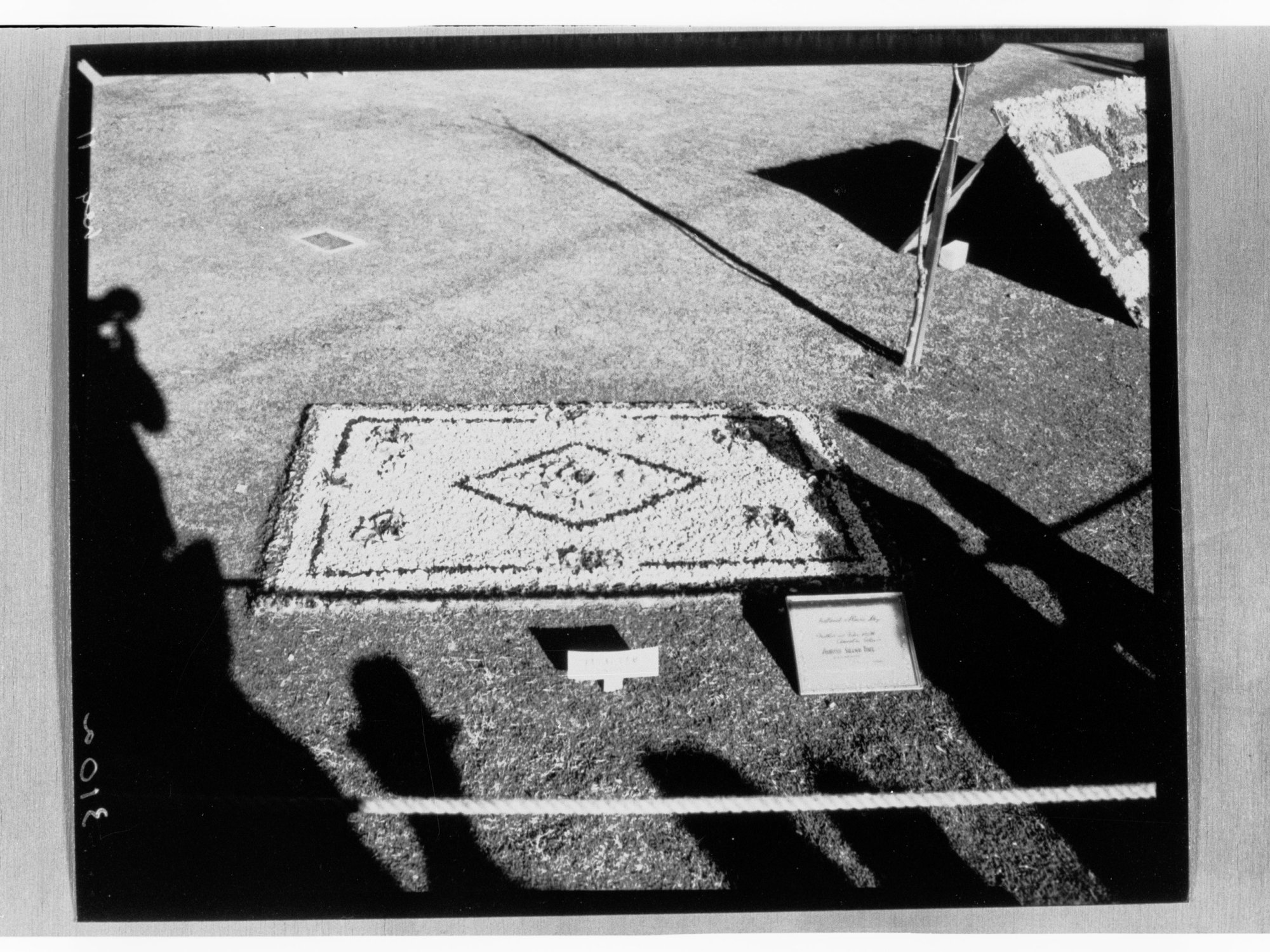 National Flower Day Festival held in Adelaide on the 21st September 1949