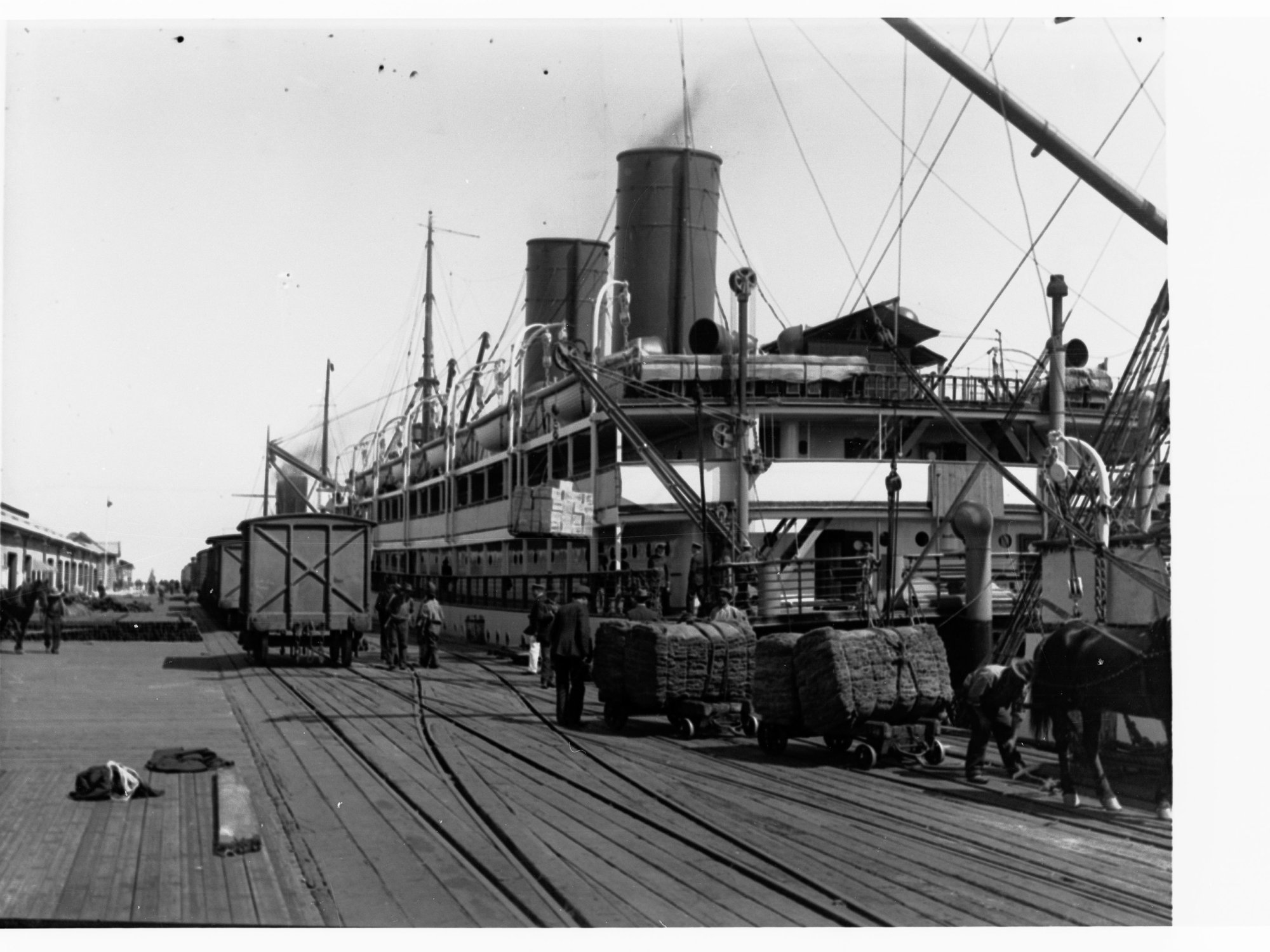 Loading wool and fruit at Port Adelaide, showing steamship