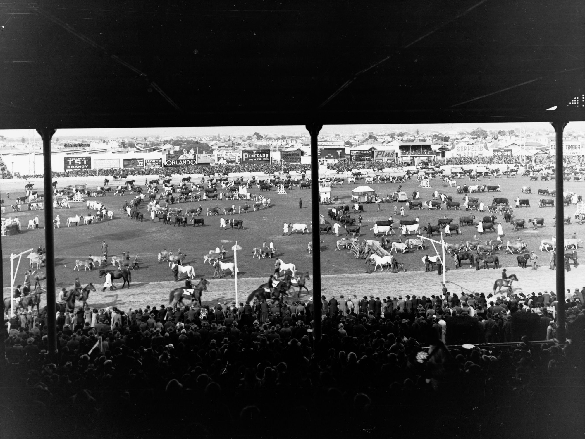 Grand Parade Royal Adelaide Show Wayville