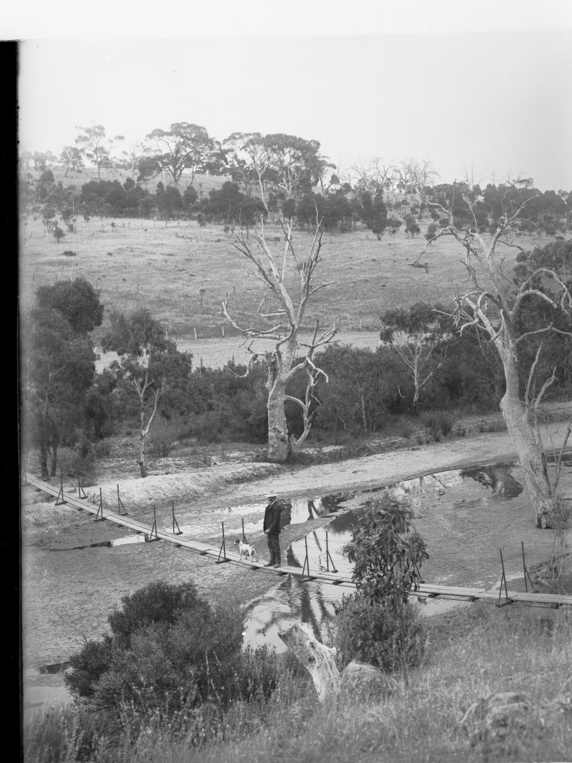Man and Dog on Bridge at Victor Harbor