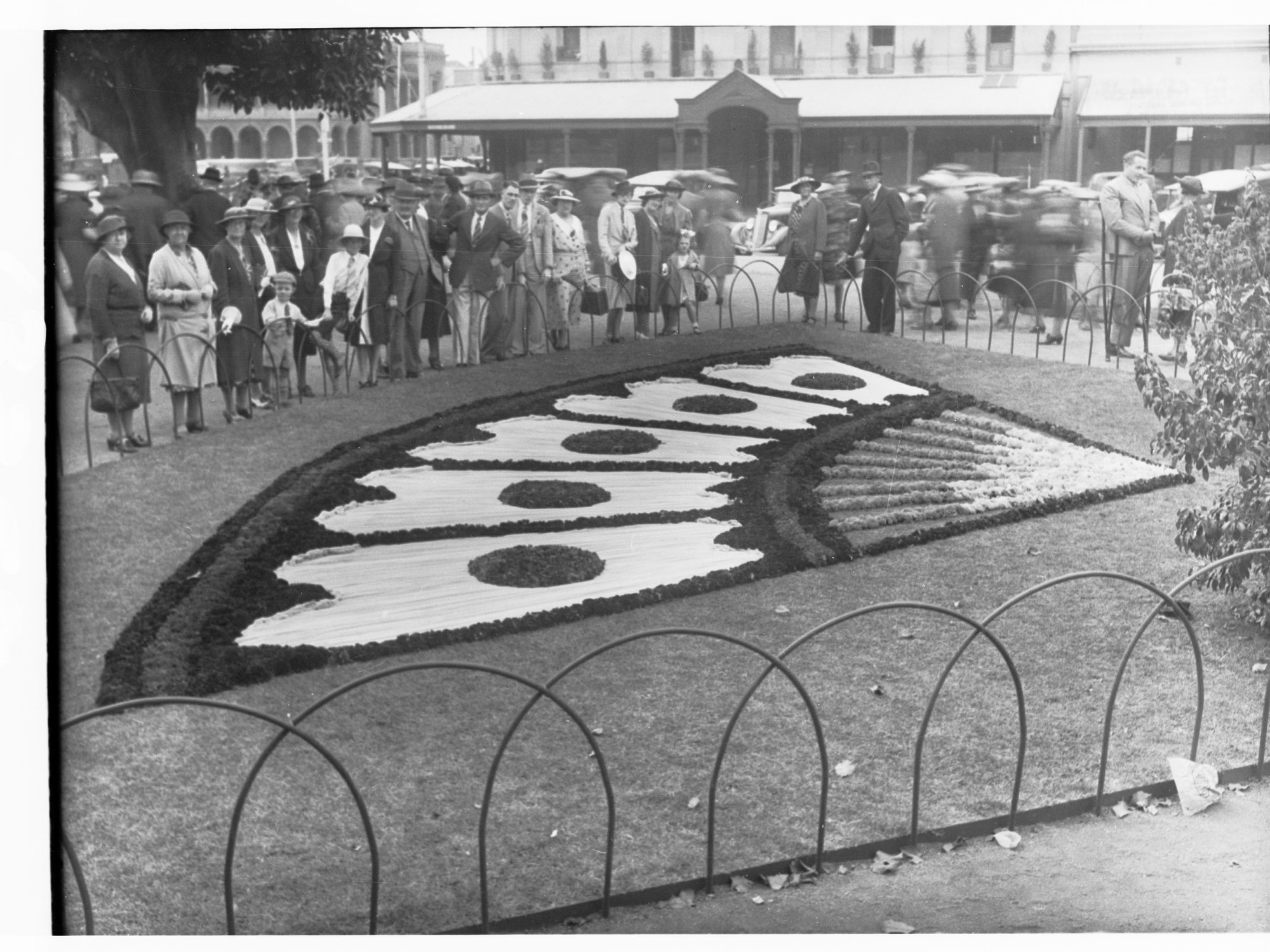 Floral Carpet for Flower Day