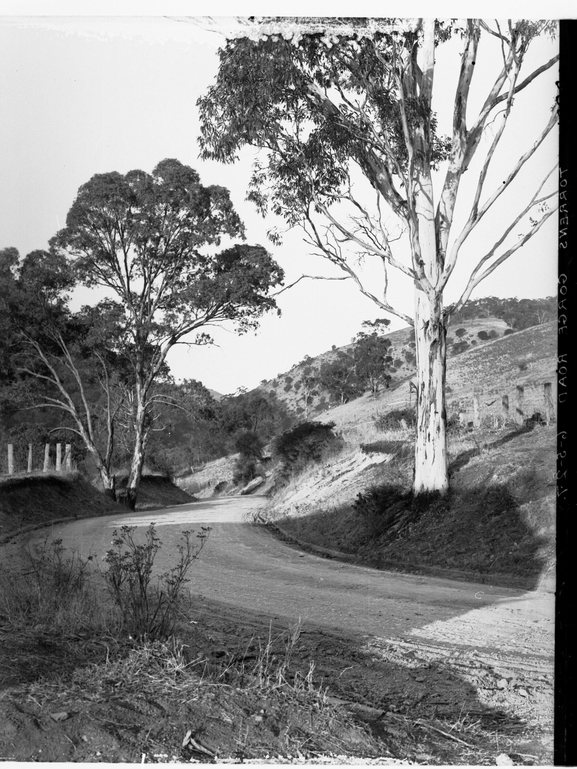 Torrens Gorge Road