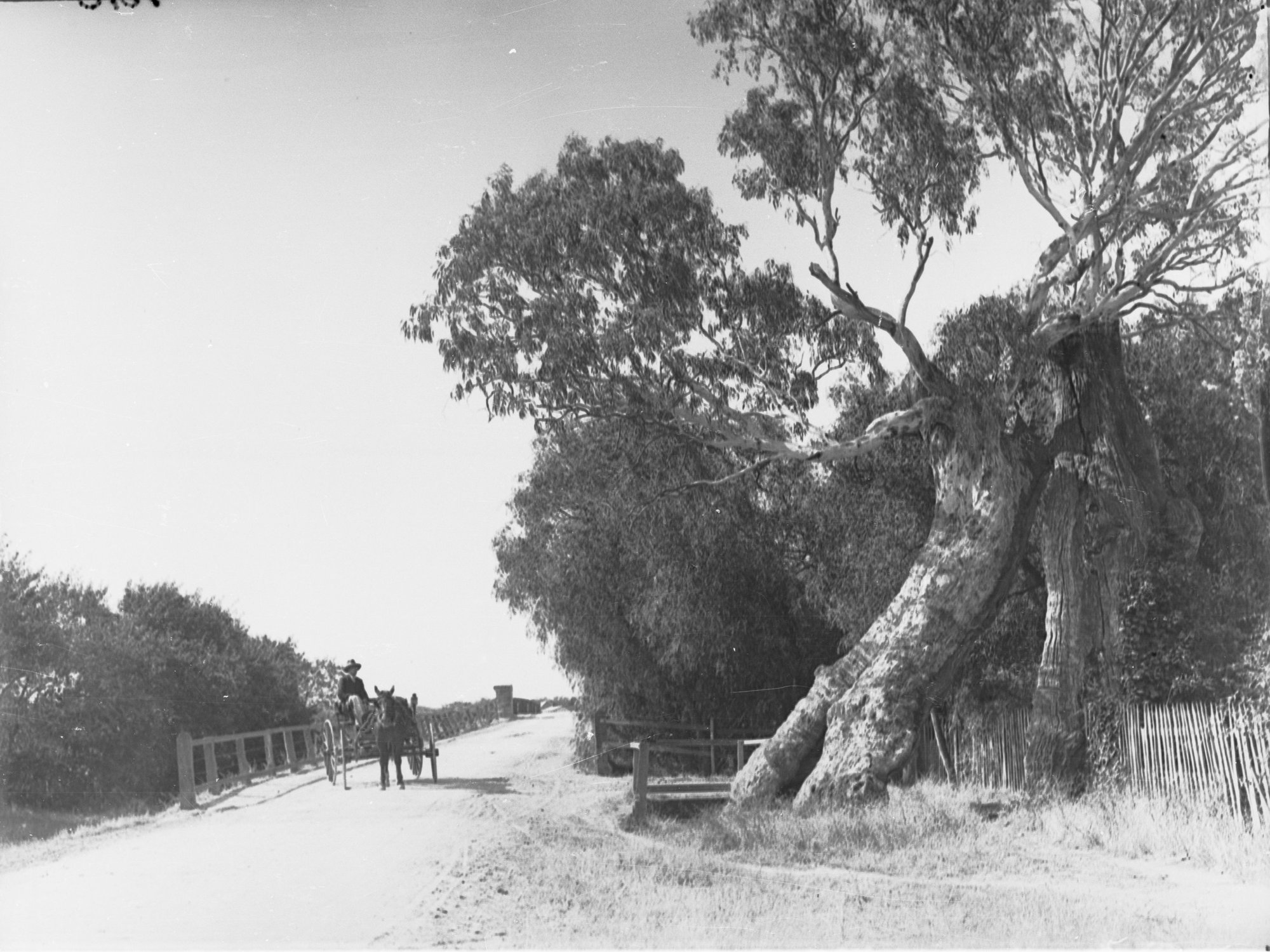 Horse and Cart on track crossing bridge