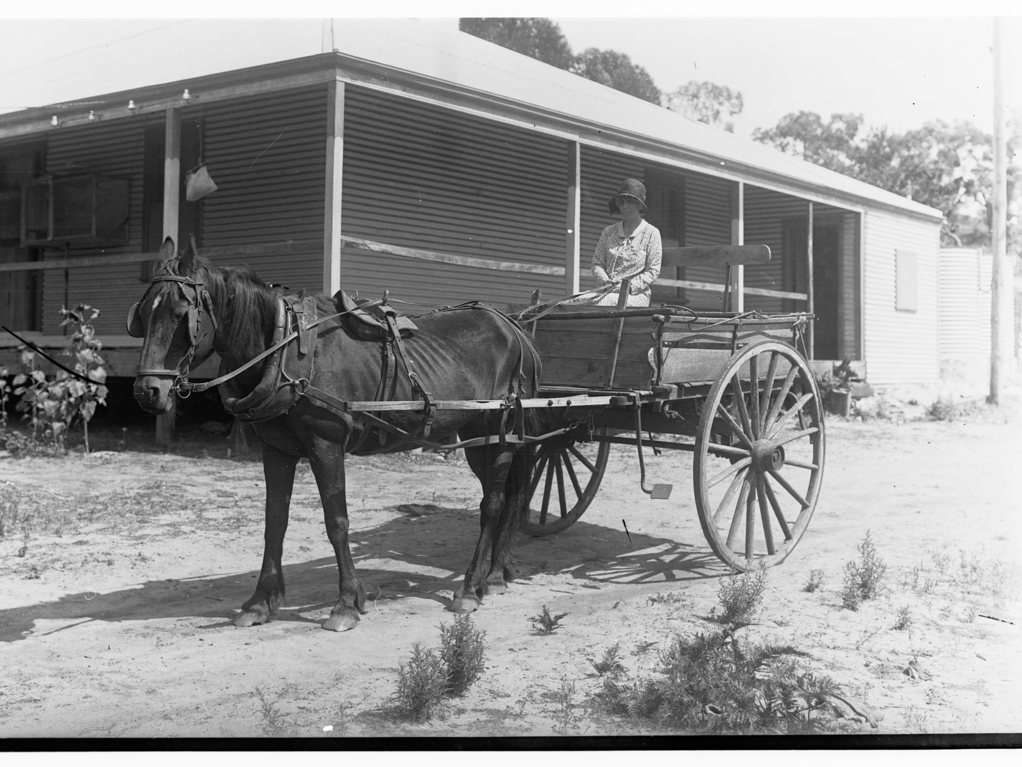 Woman in horse drawn cart also showing house