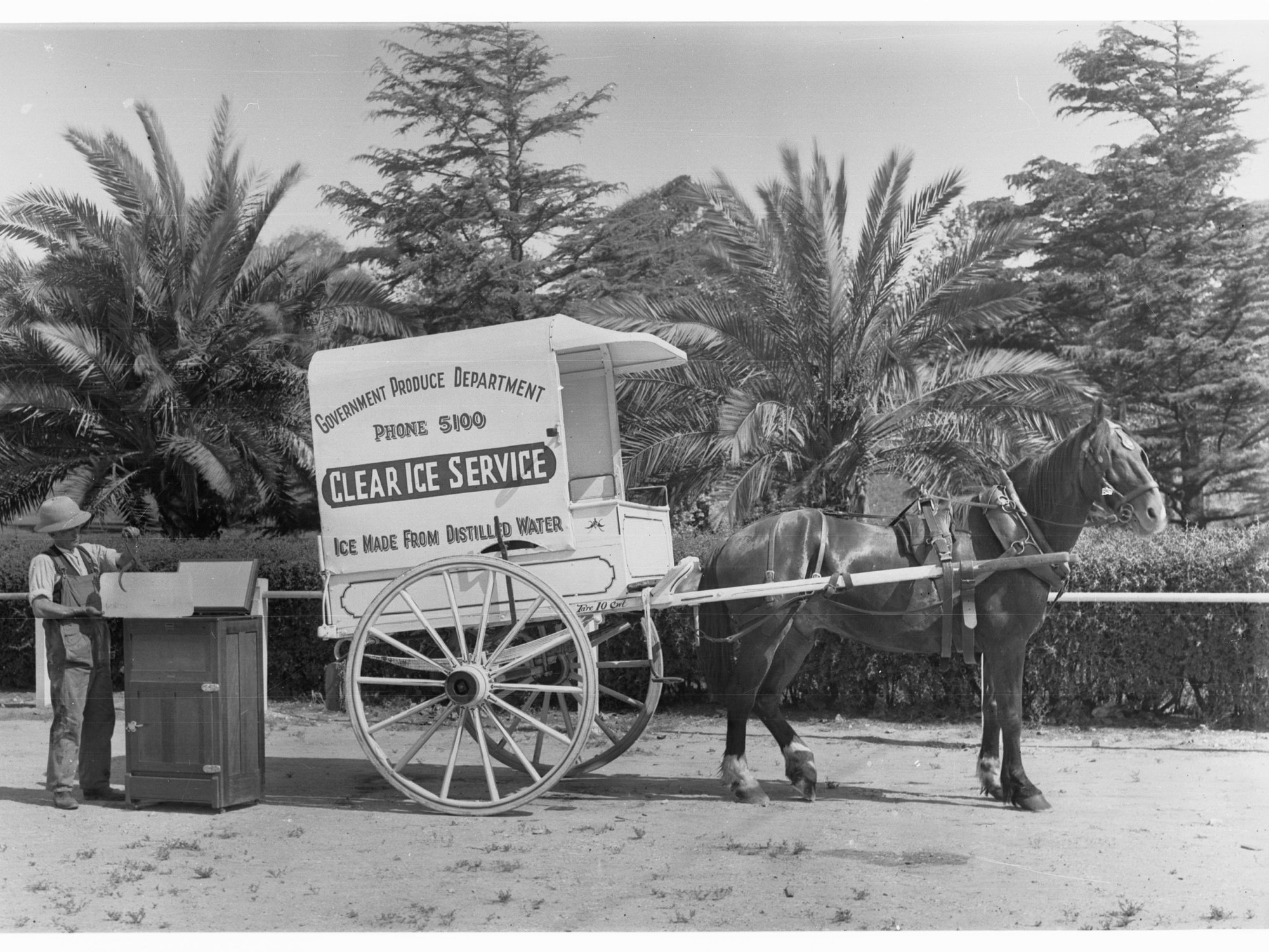 Horse pulling ice cart
