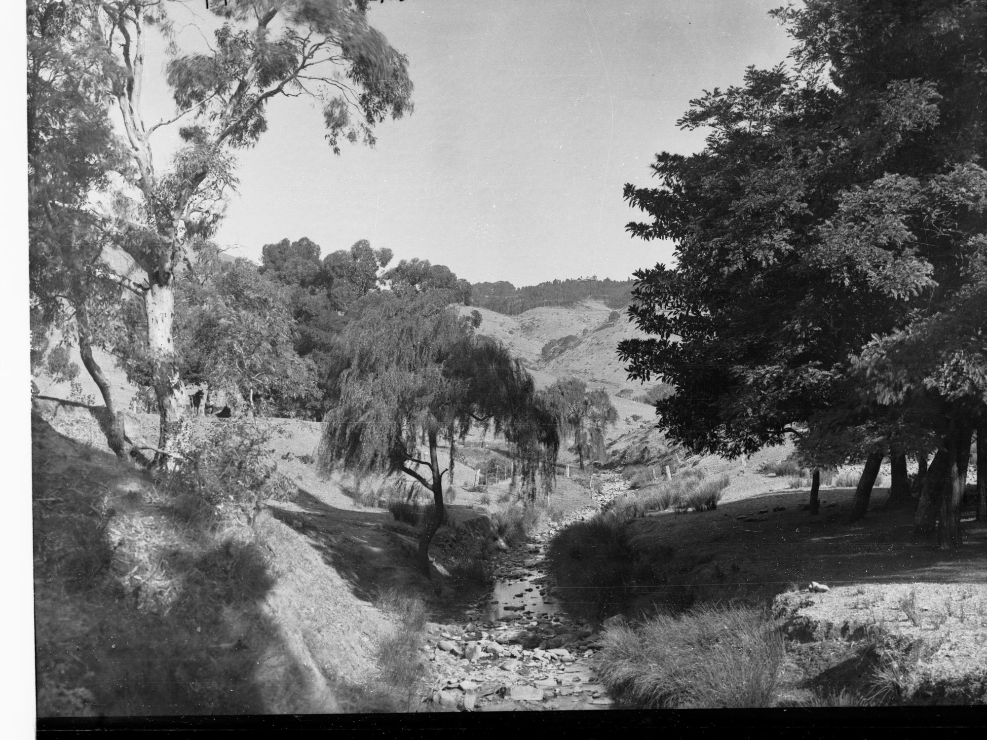 Brownhill Creek Reserve, Mitcham