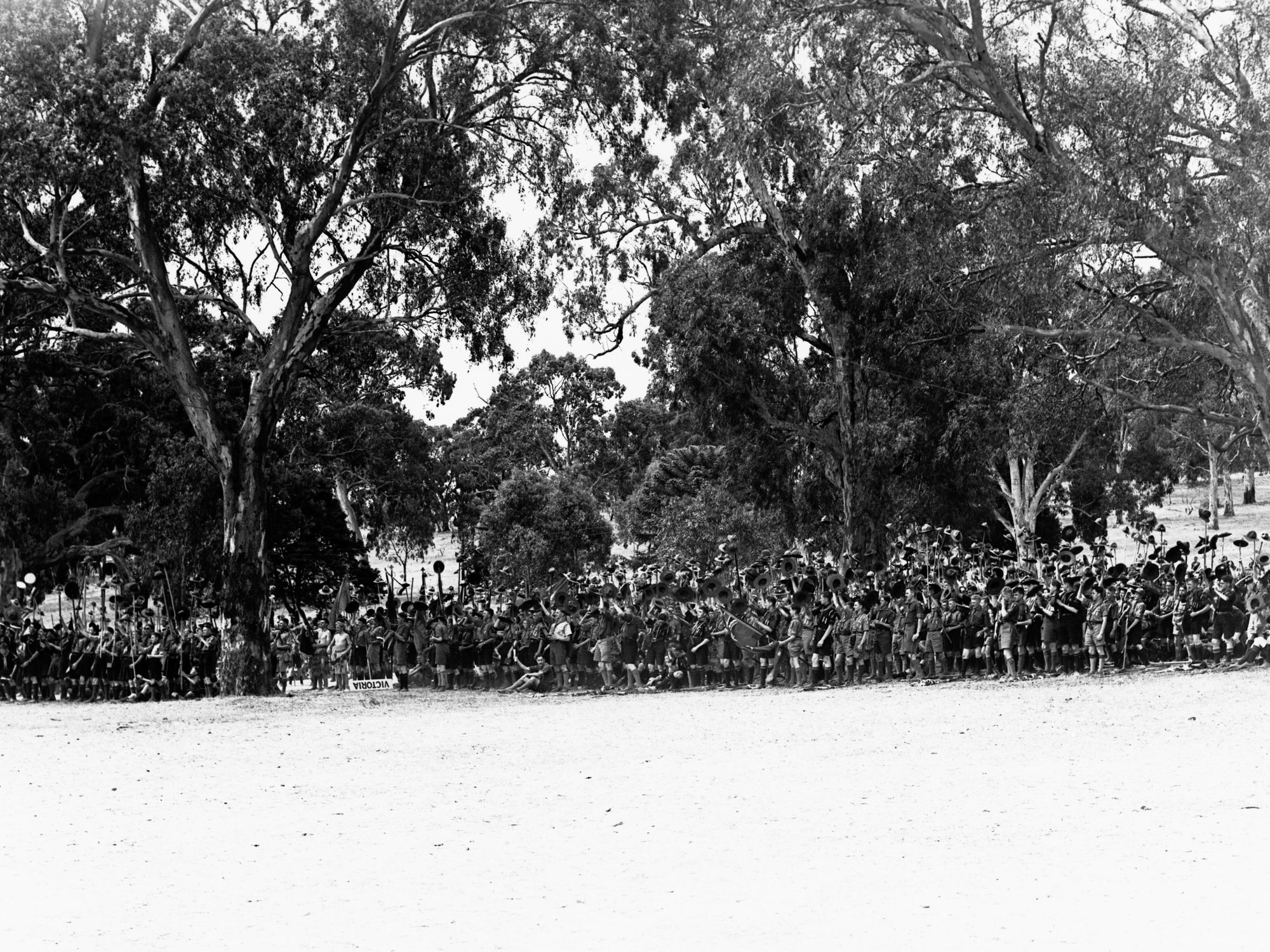 Boy Scouts camp at Belair