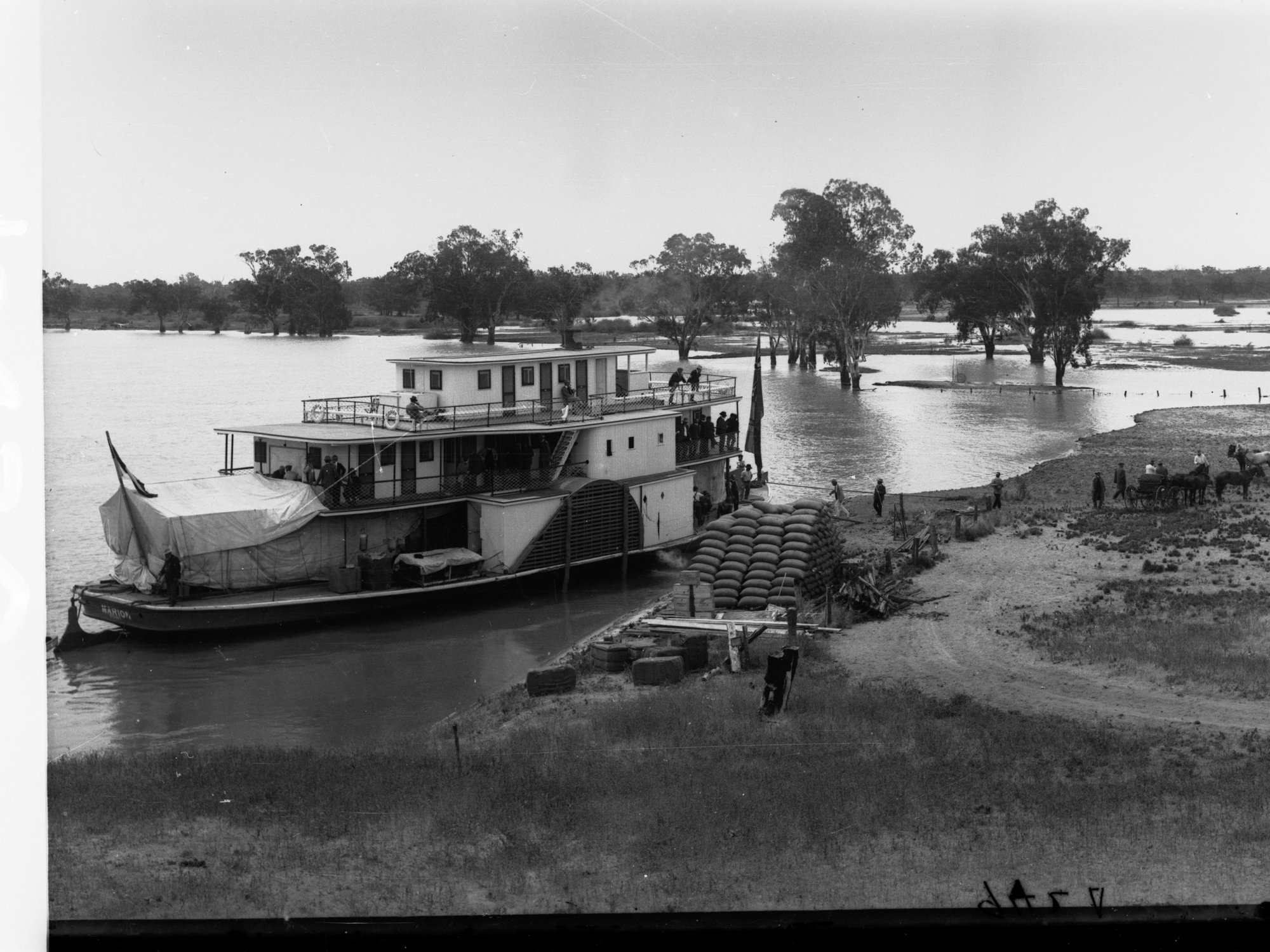 Marion paddlesteamer on River Murray