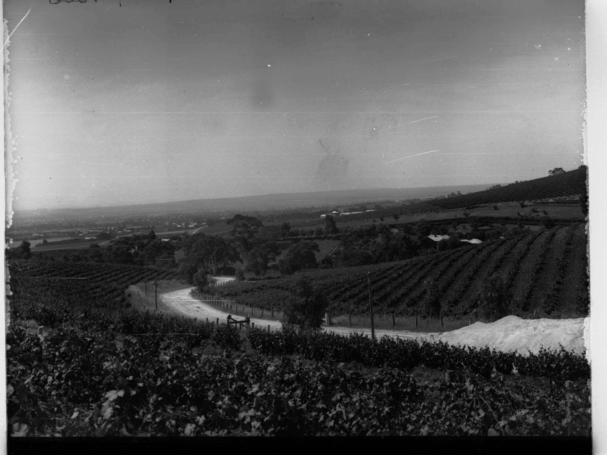 Penfolds Winery Stonyfell