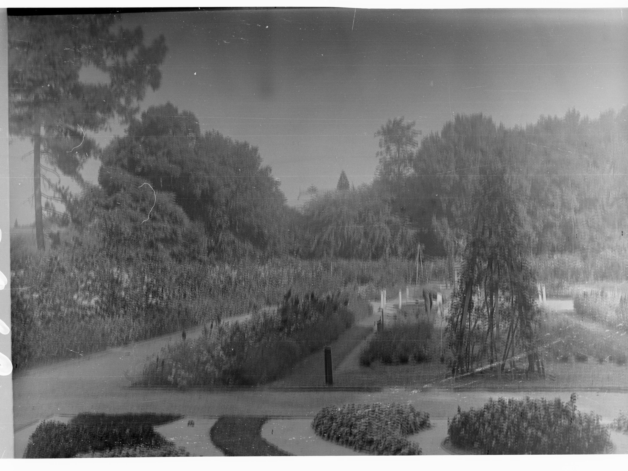 Botanic Gardens - flower beds