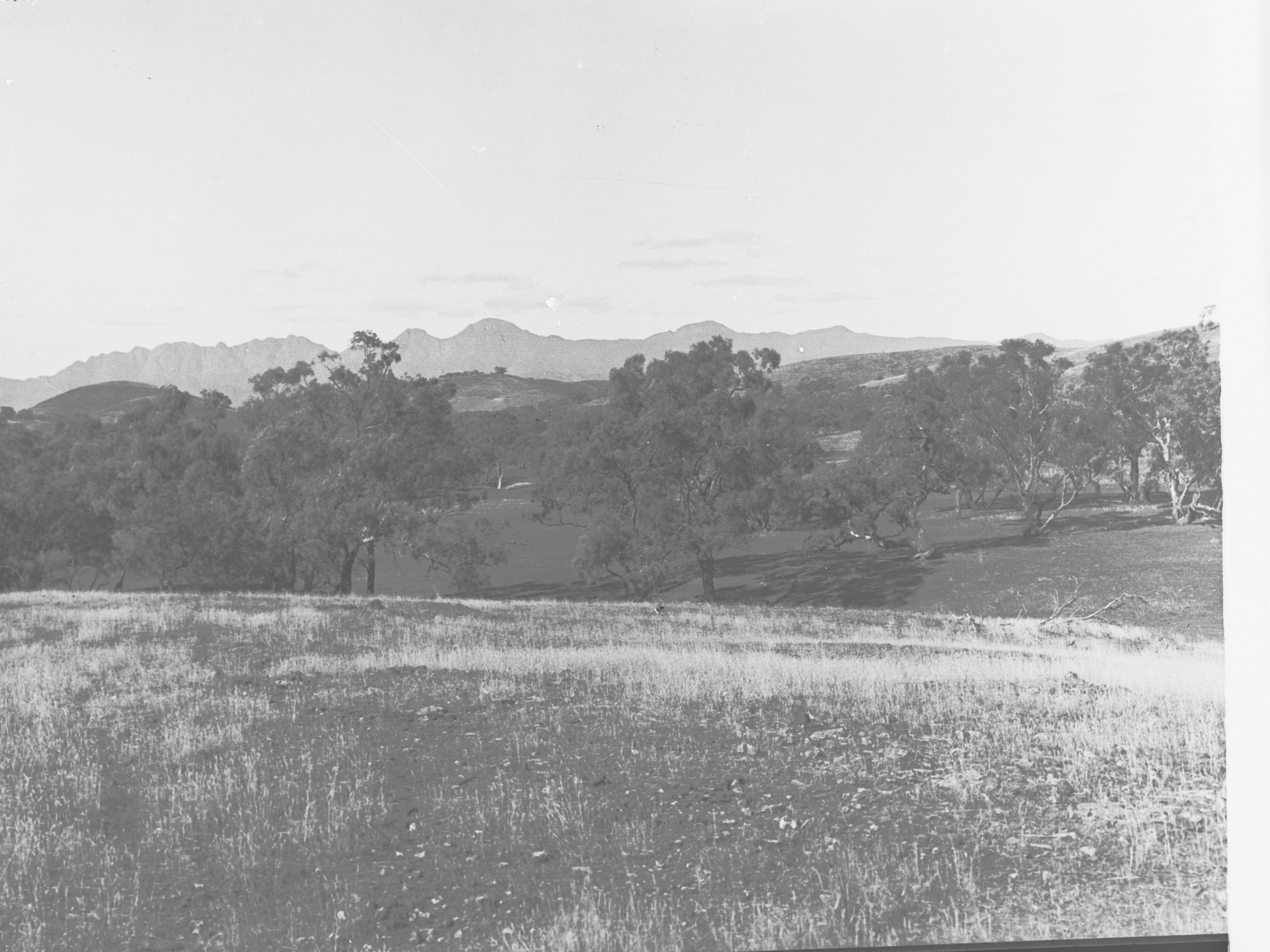 Wilpena Heights Flinders Ranges