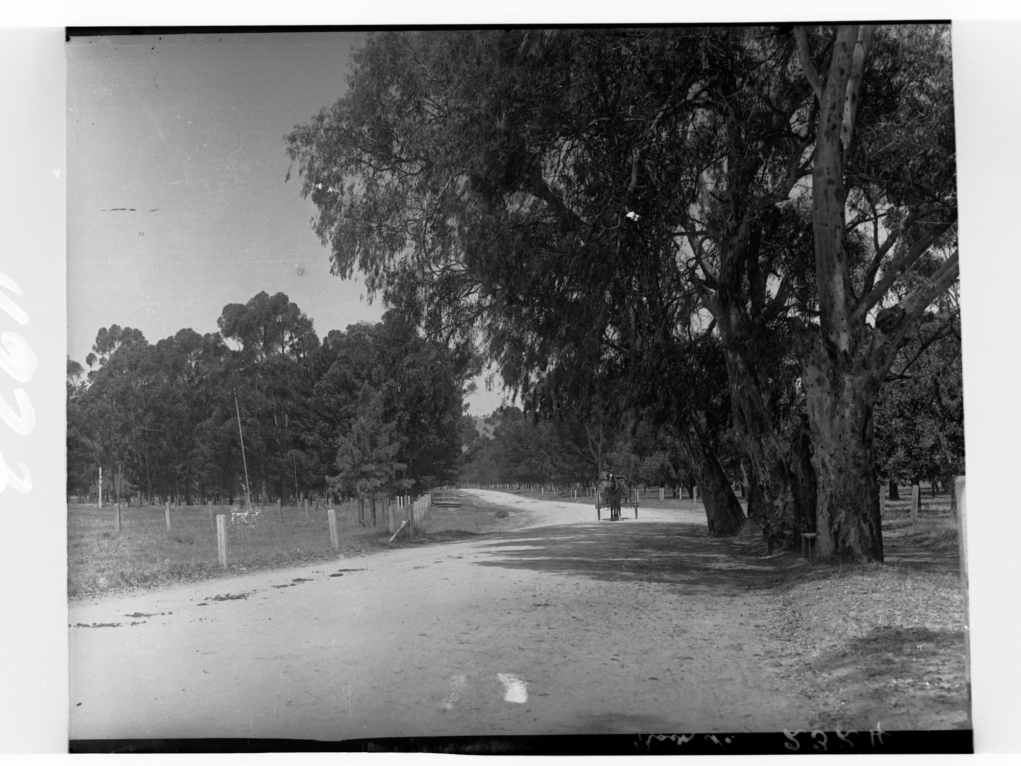 Greenhill Road showing horse and cart