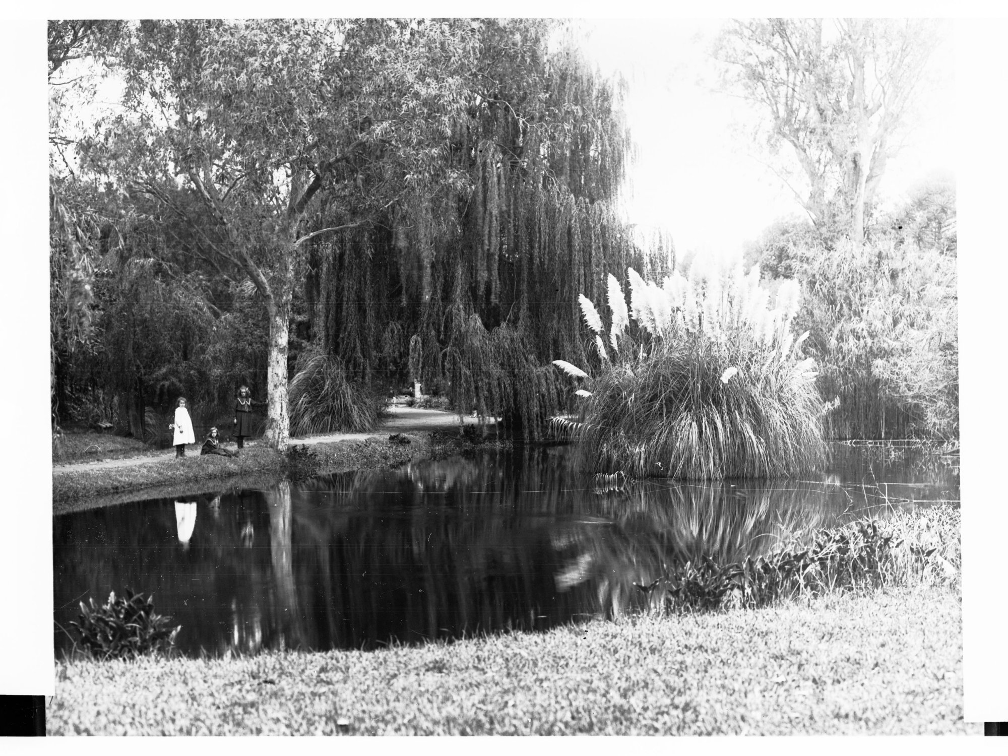 Botanic Gardens Pond
