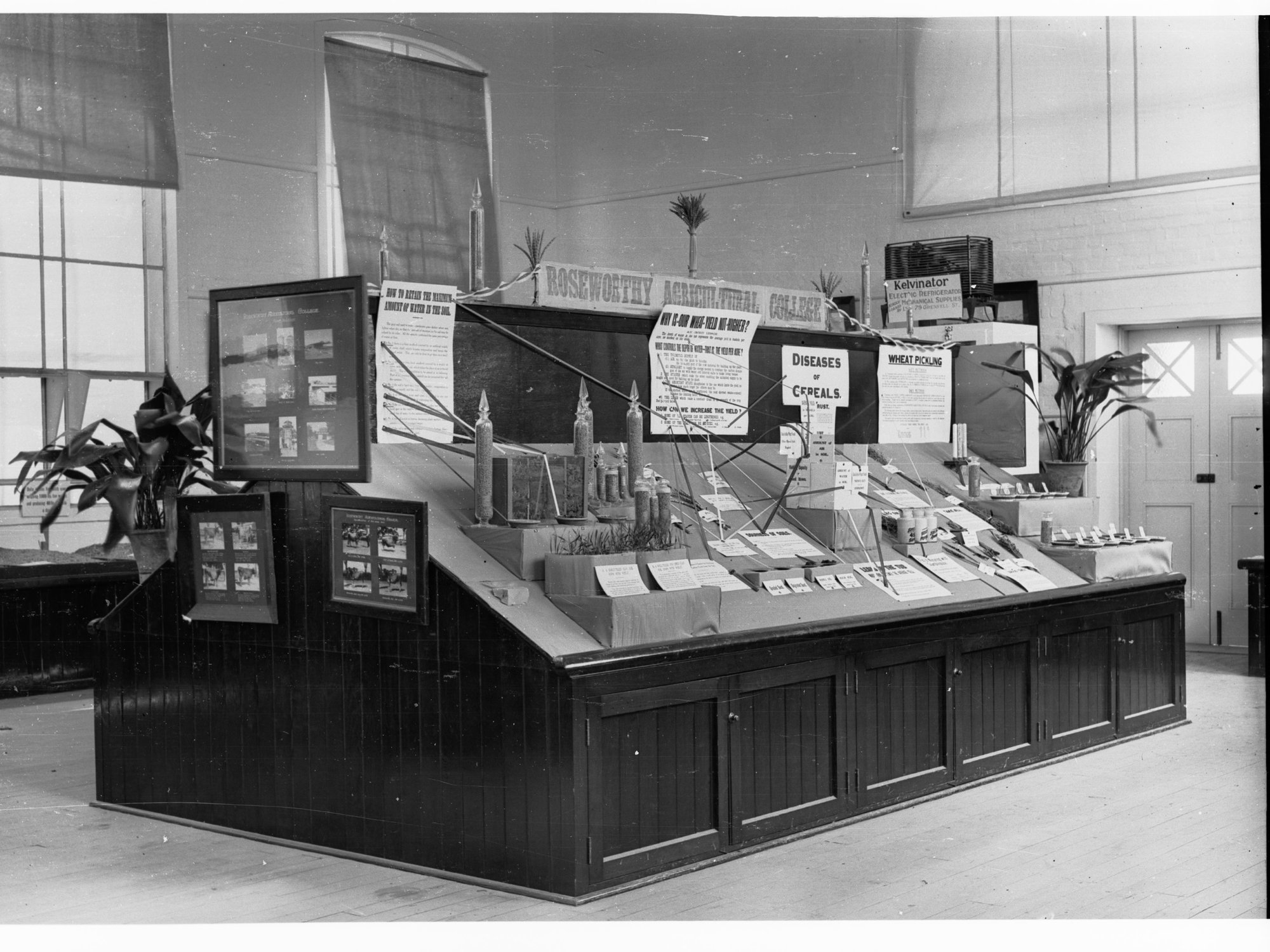 Agricultural Department show - wheat exhibition