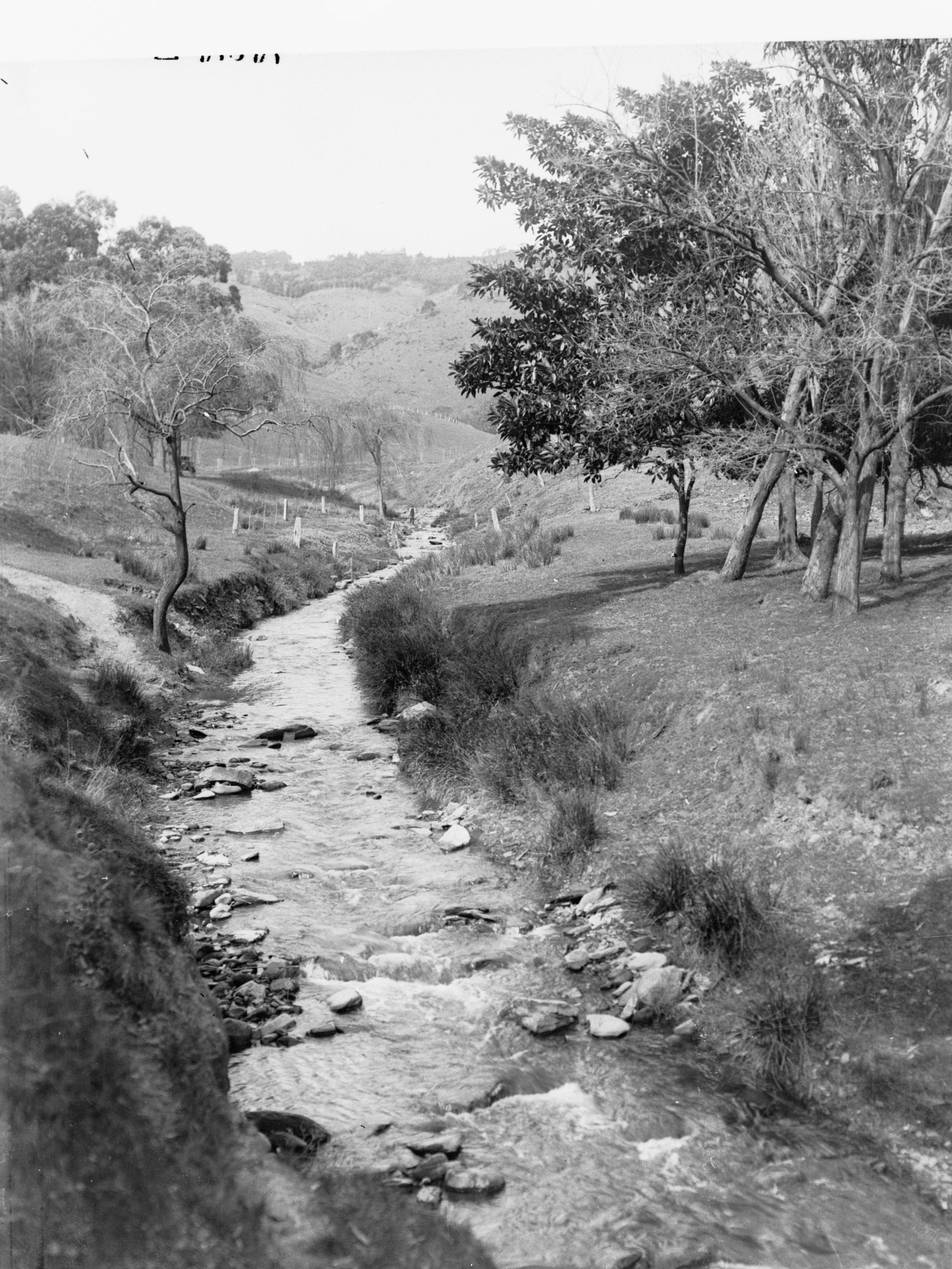 Brownhill Creek Reserve, Mitcham