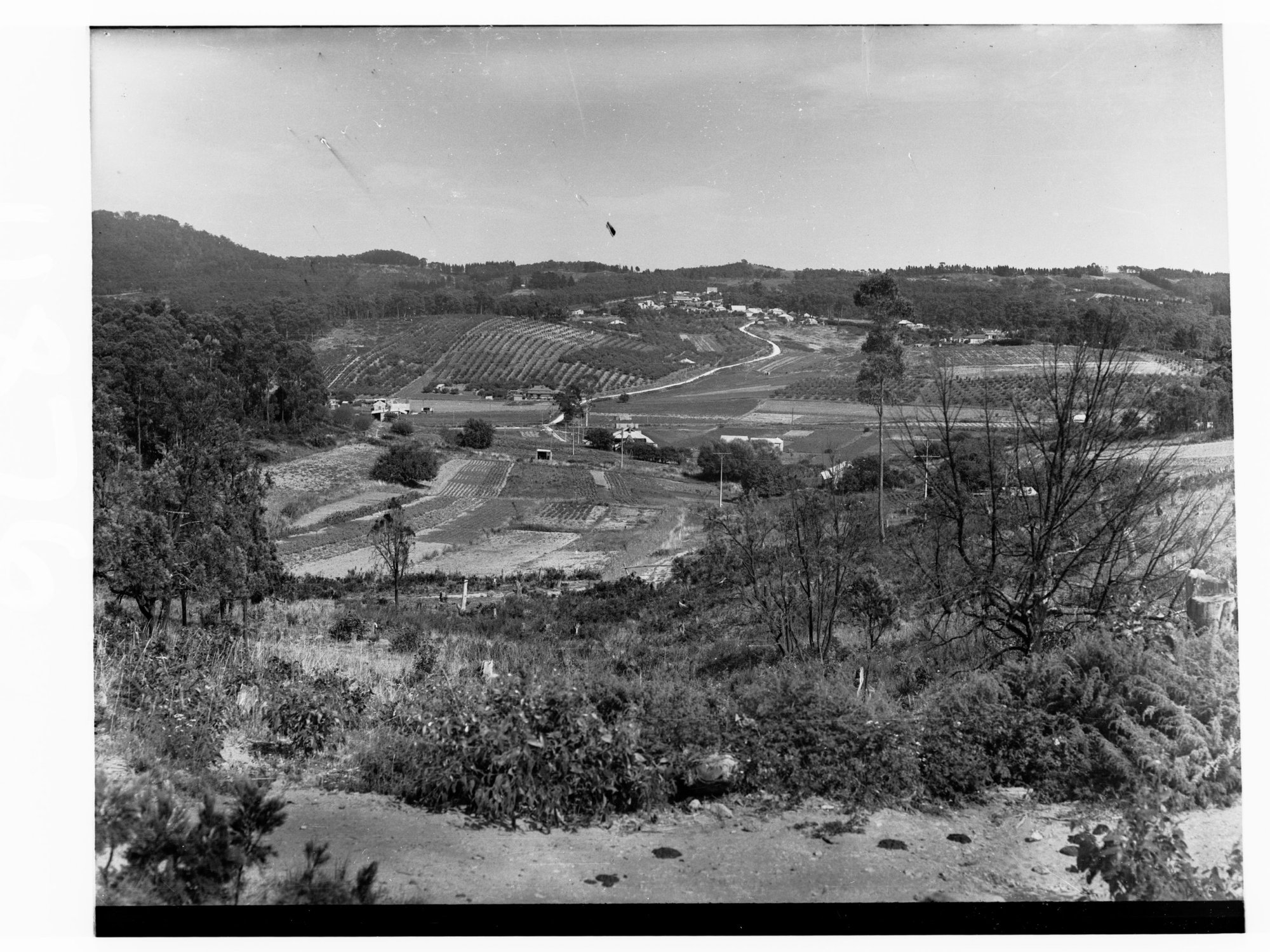 Rural views showing houses and crops