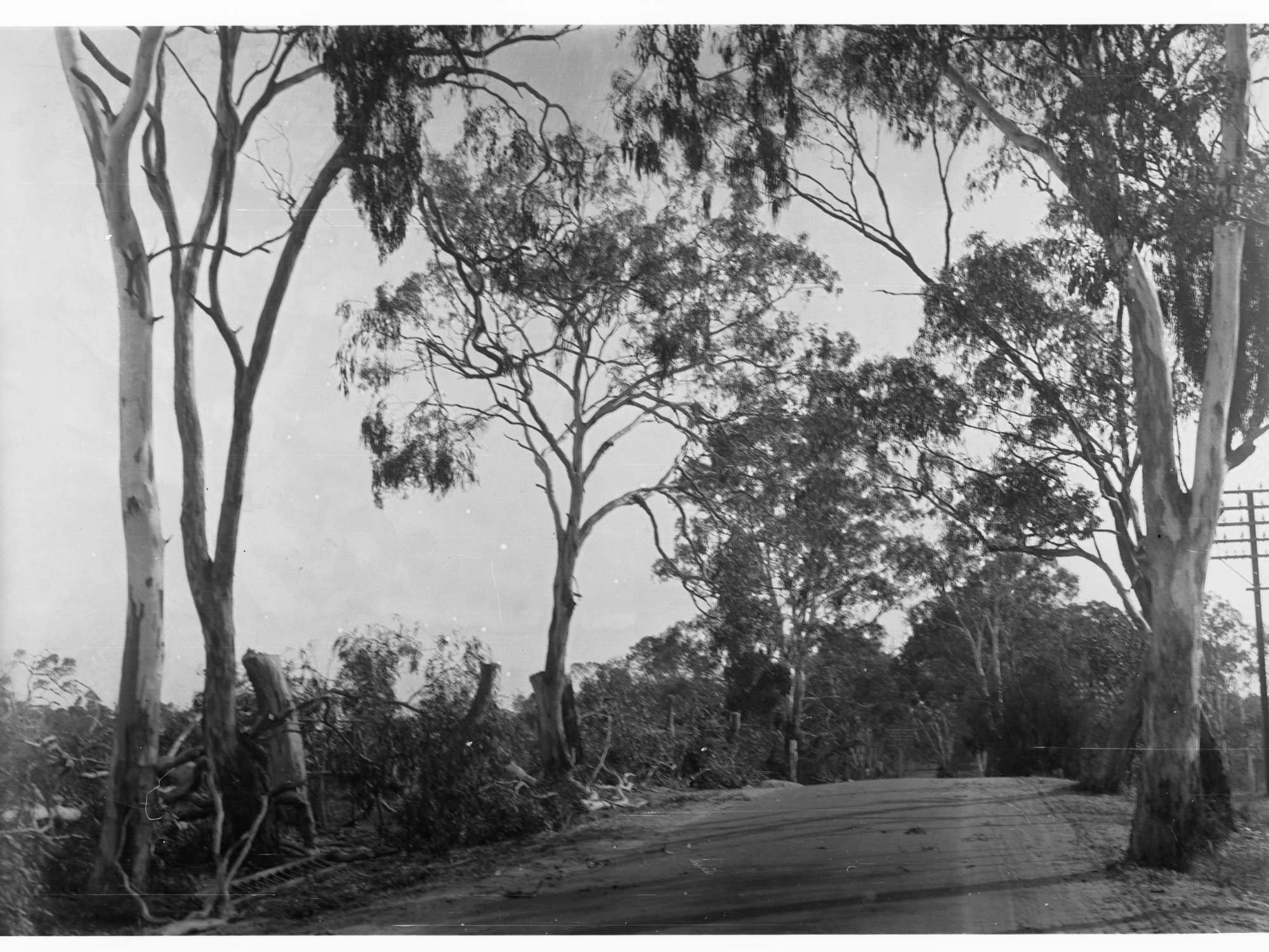 Sandy Creek and Lyndoch